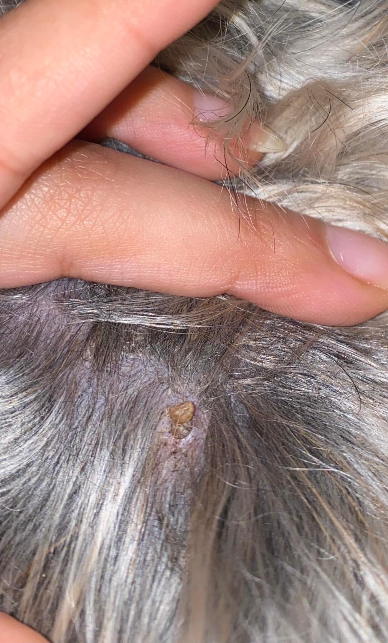 Question details sensitive content