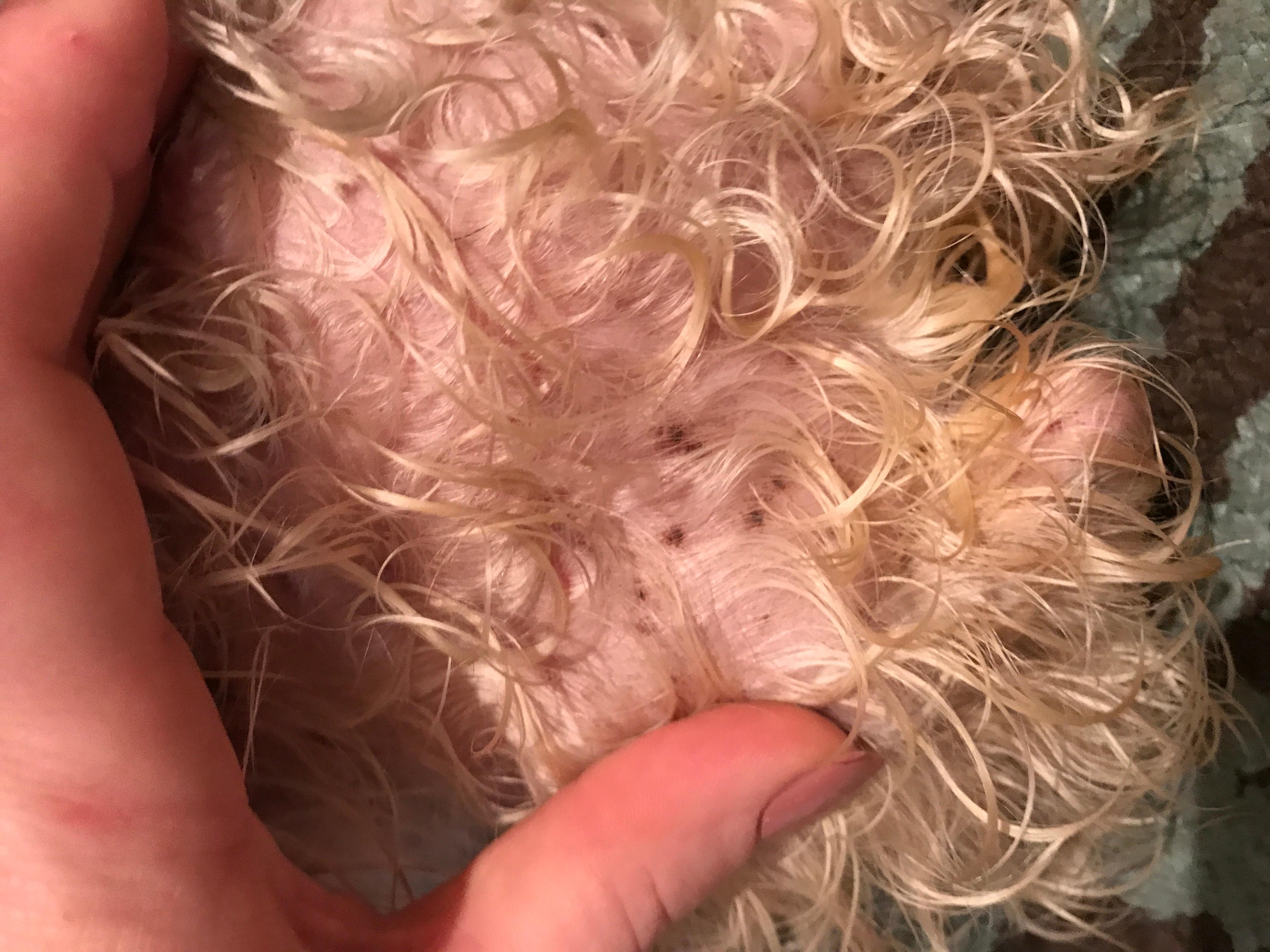 Question details sensitive content