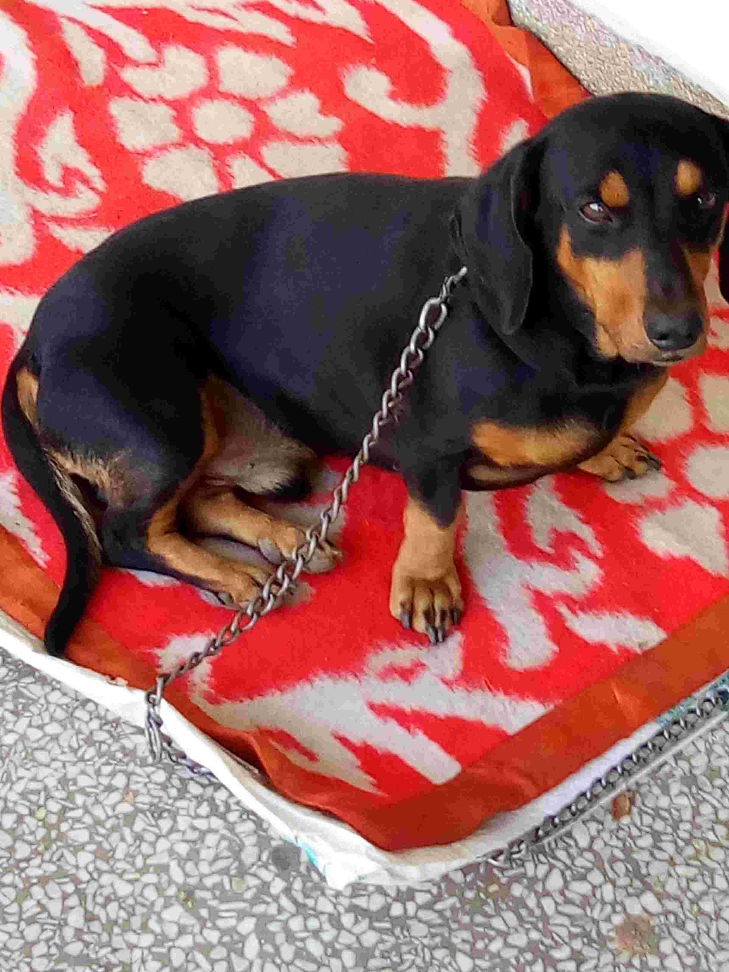 Question details sensitive content