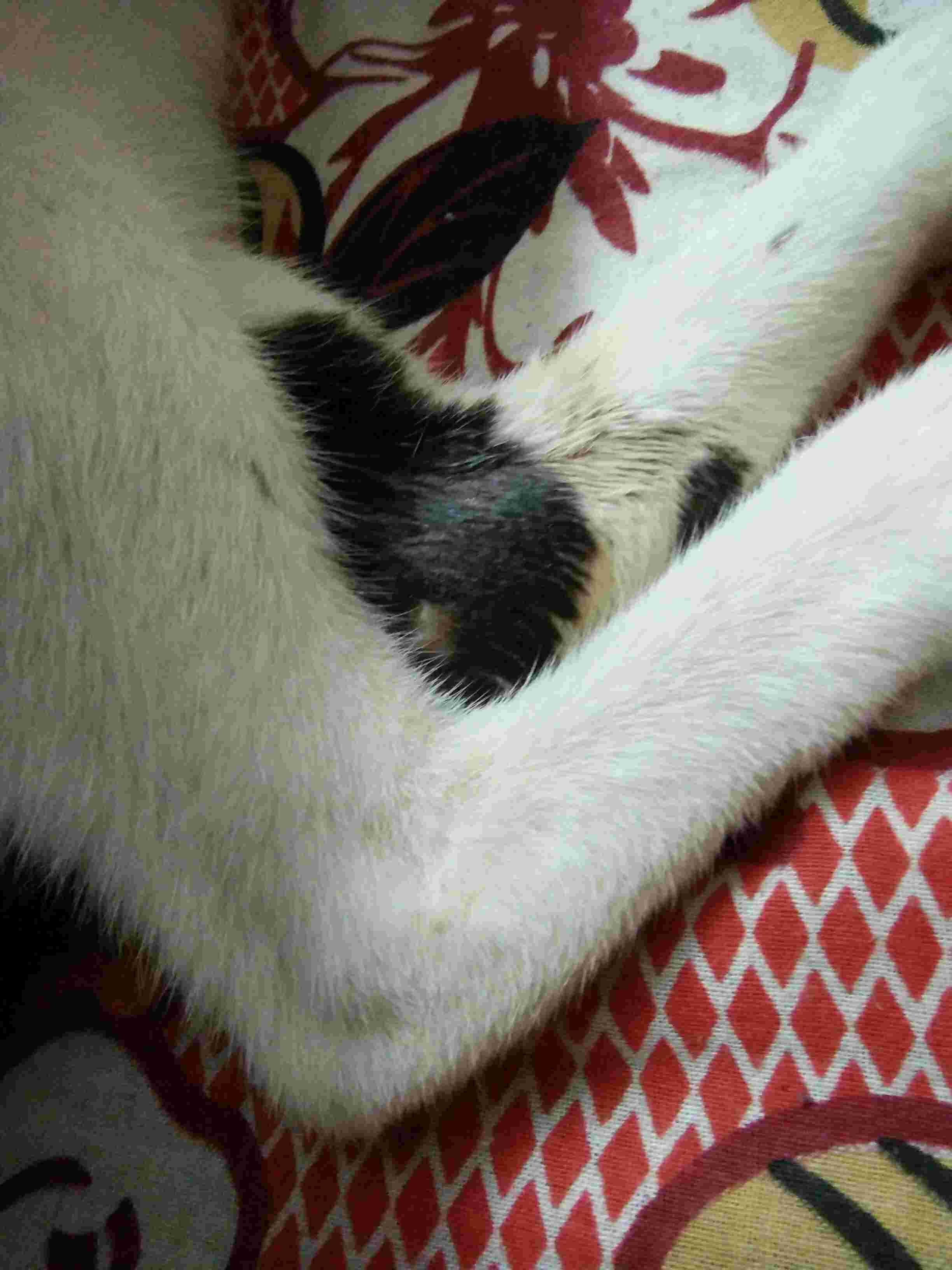 Question details sensitive content