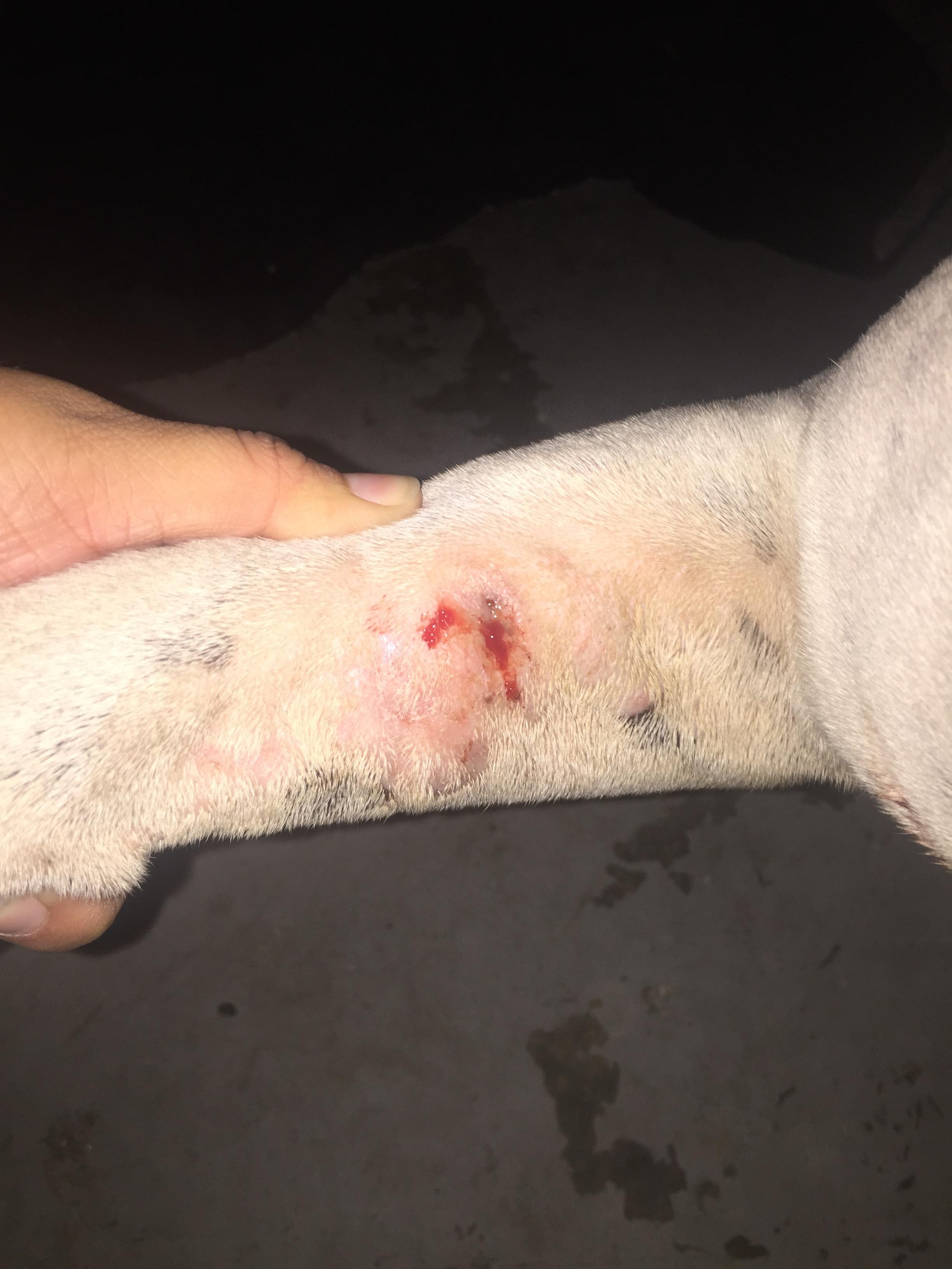 Question details sensitive content