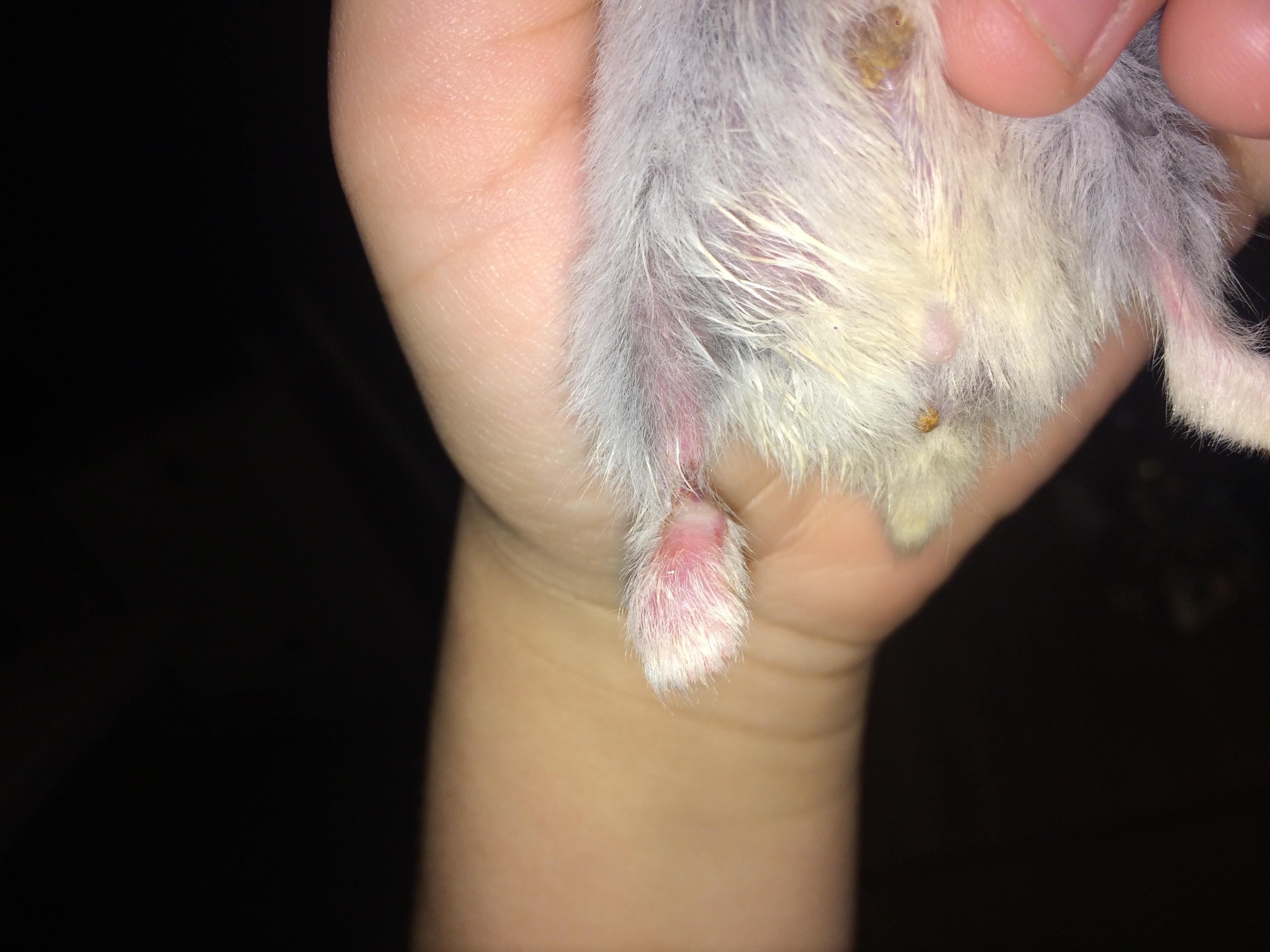 Question details sensitive content