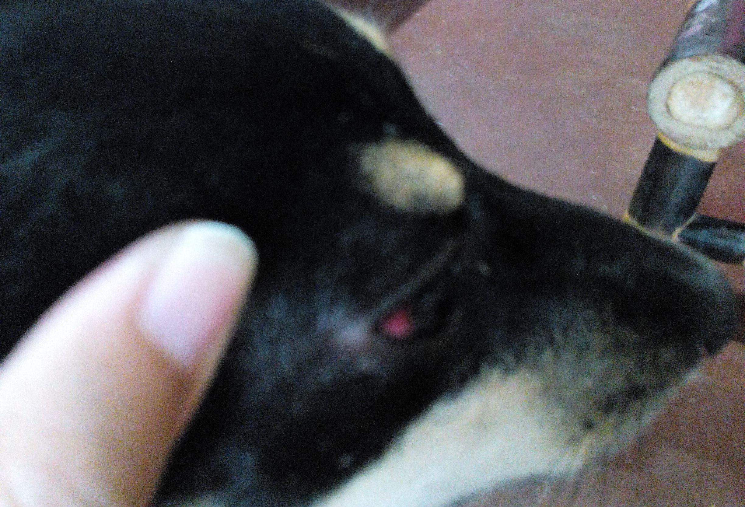 Question details sensitive content