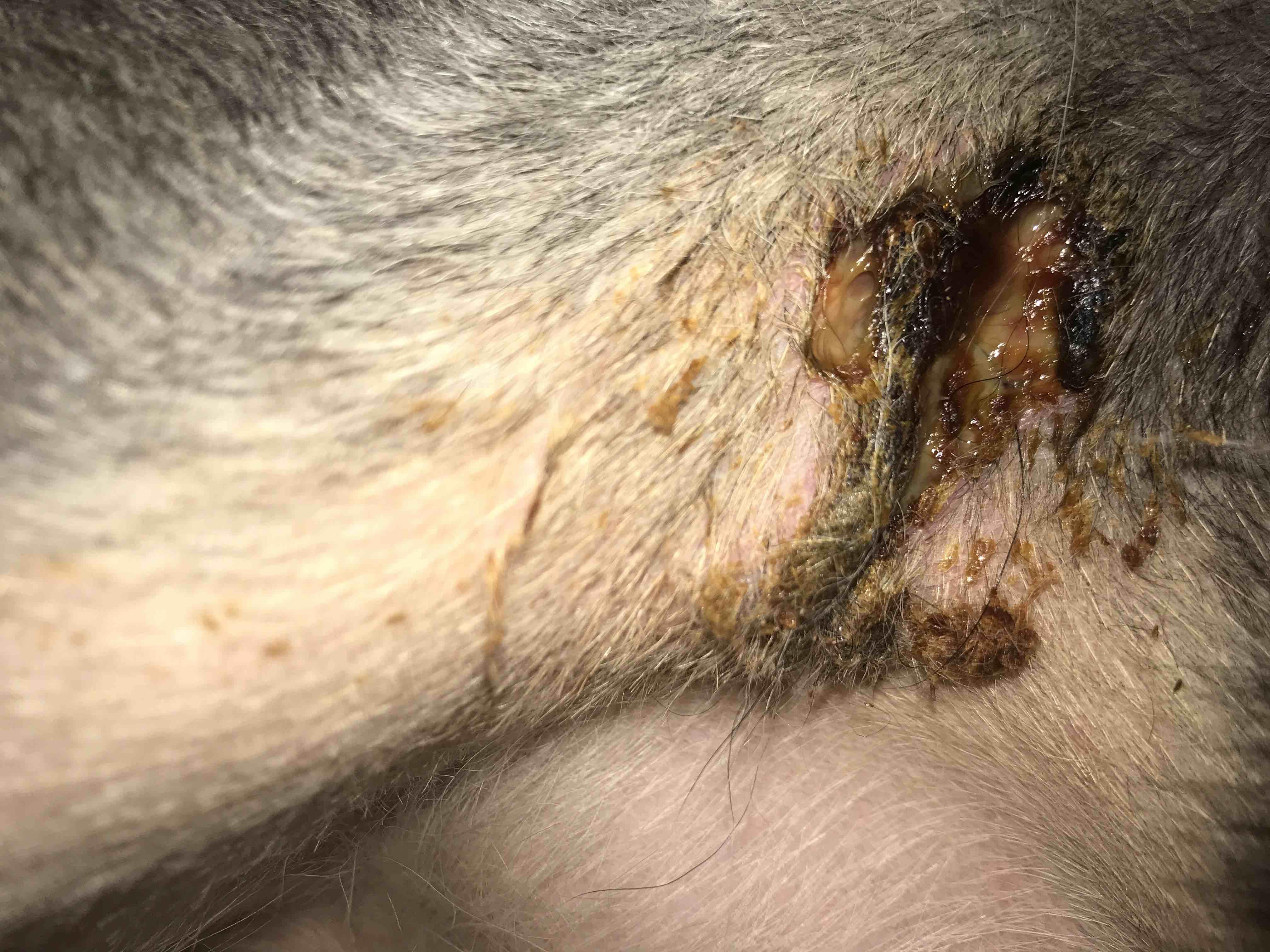 Question details sensitive content