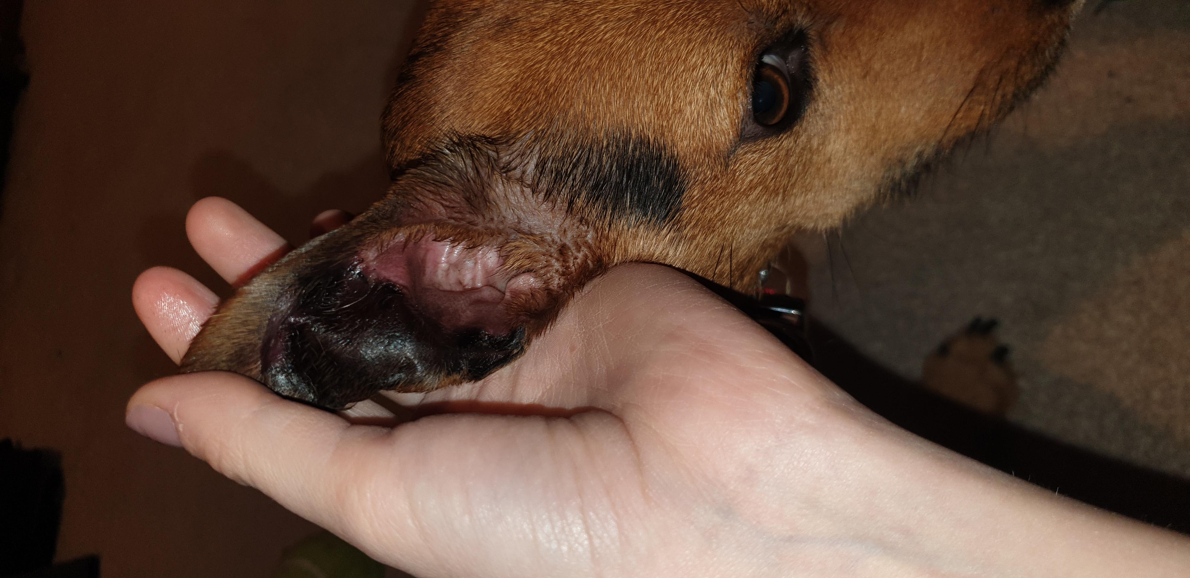 Question details sensitive content