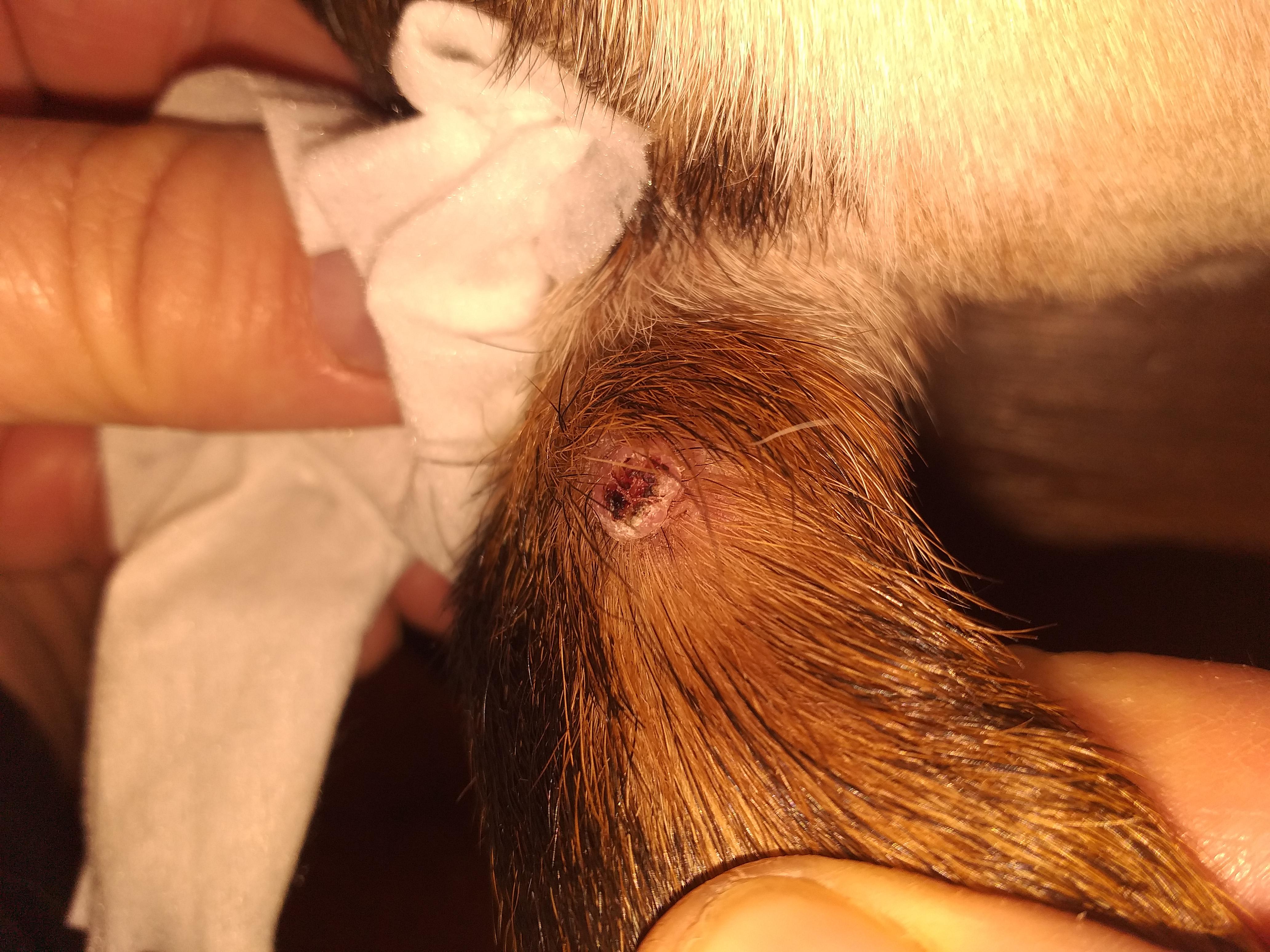 Question details sensitive content