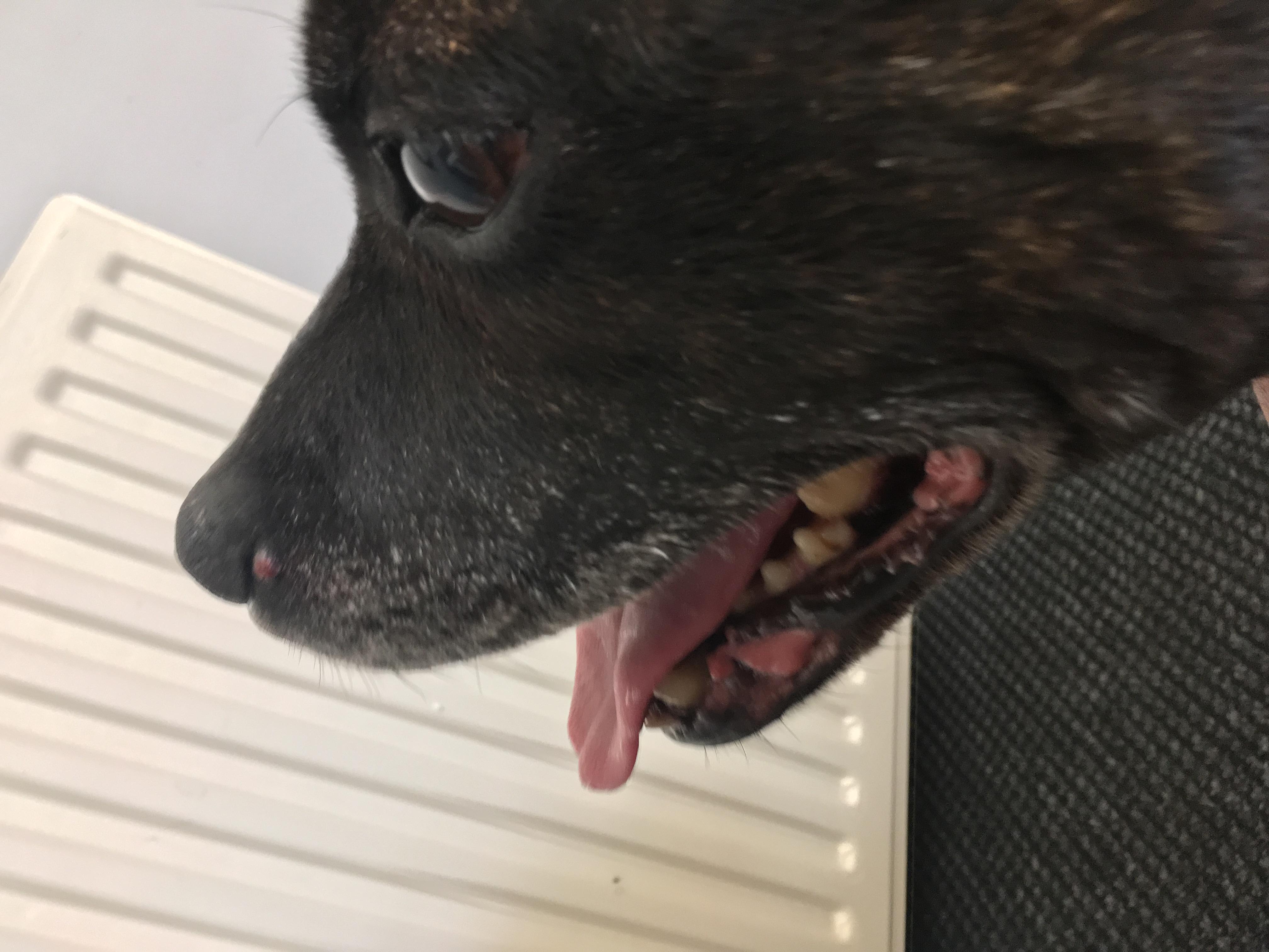 Question details sensitive content