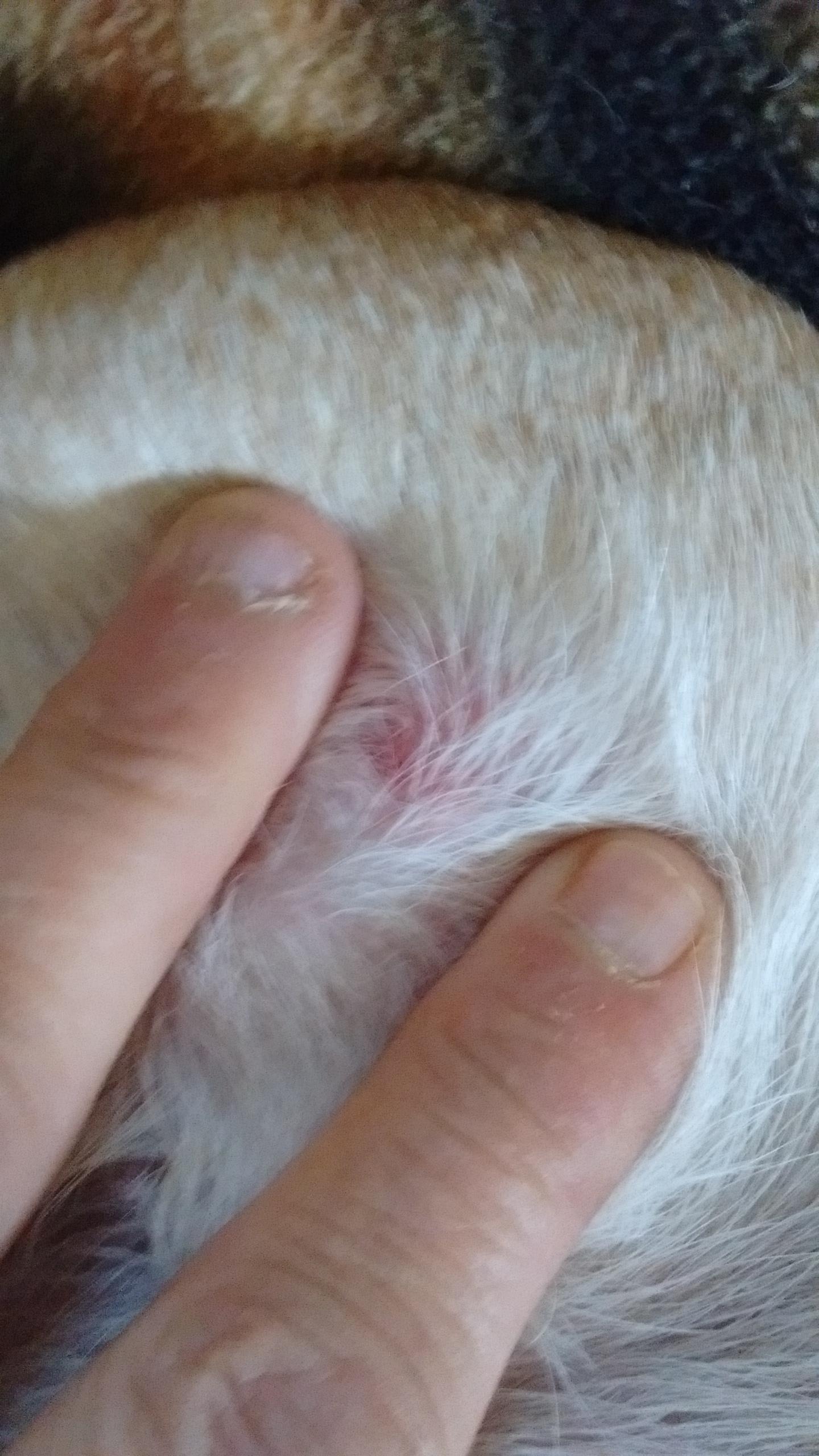 Question details sensitive content