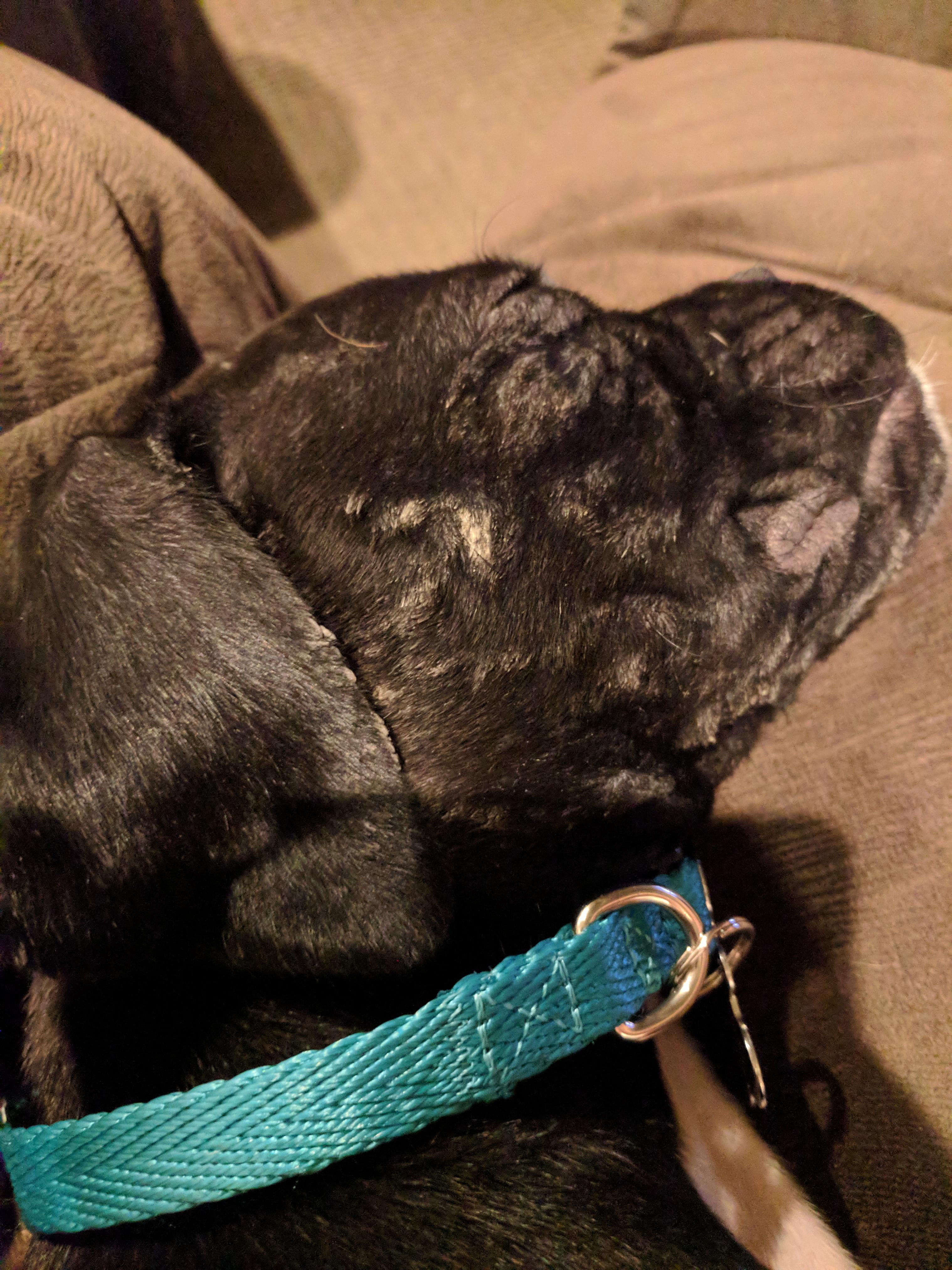 Question details sensitive content