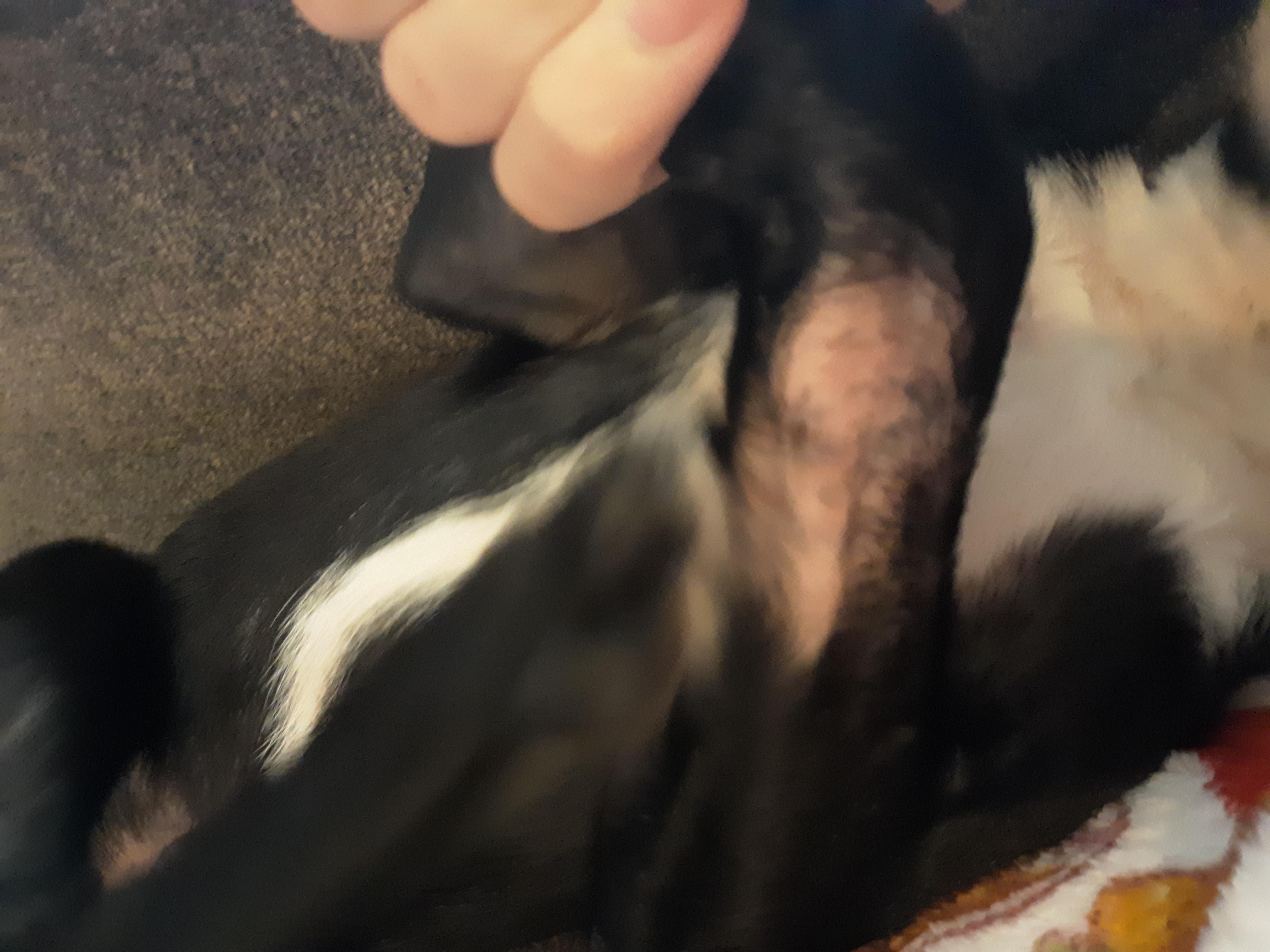 Question details sensitive content