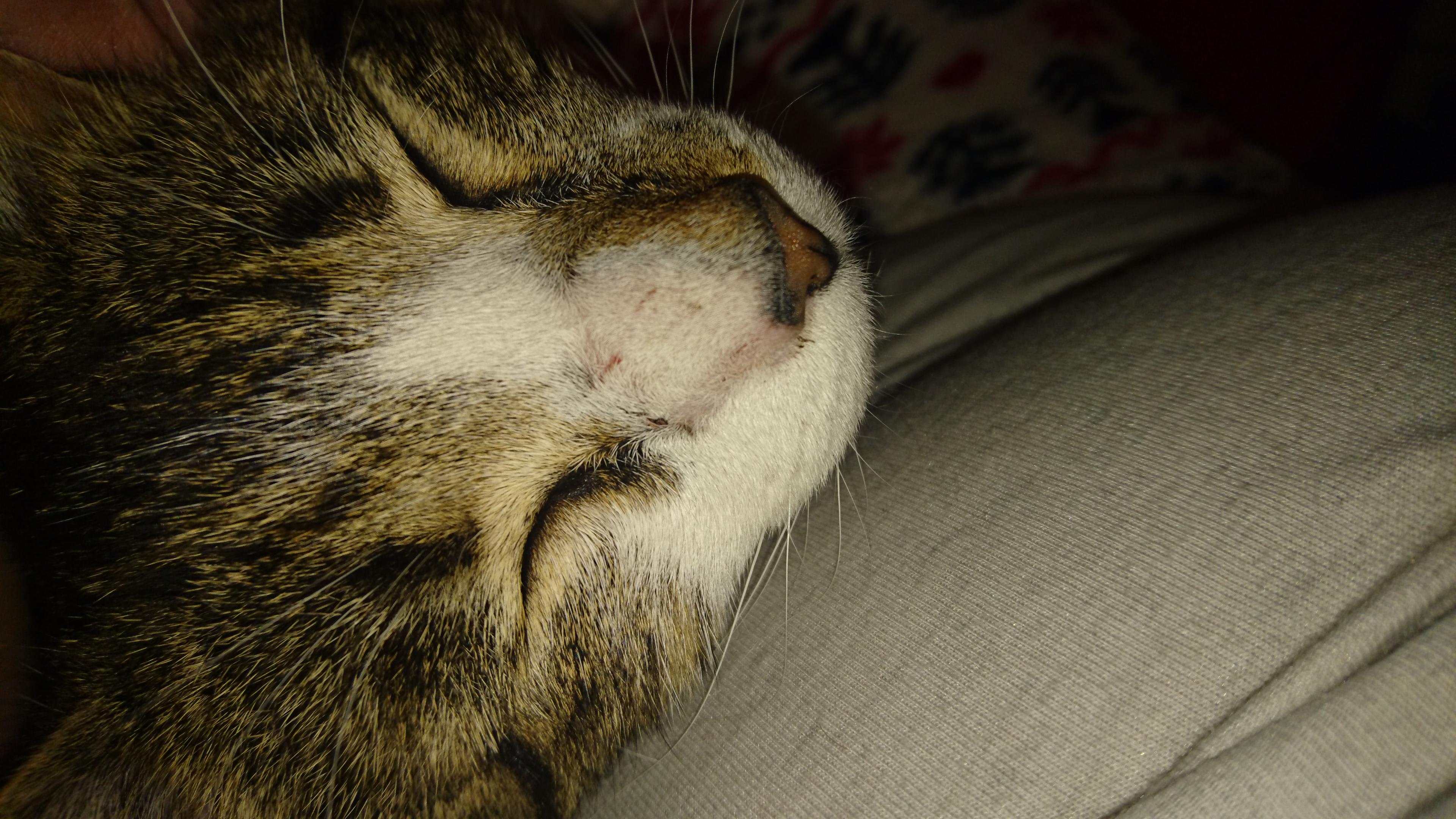 Question details sensitive content