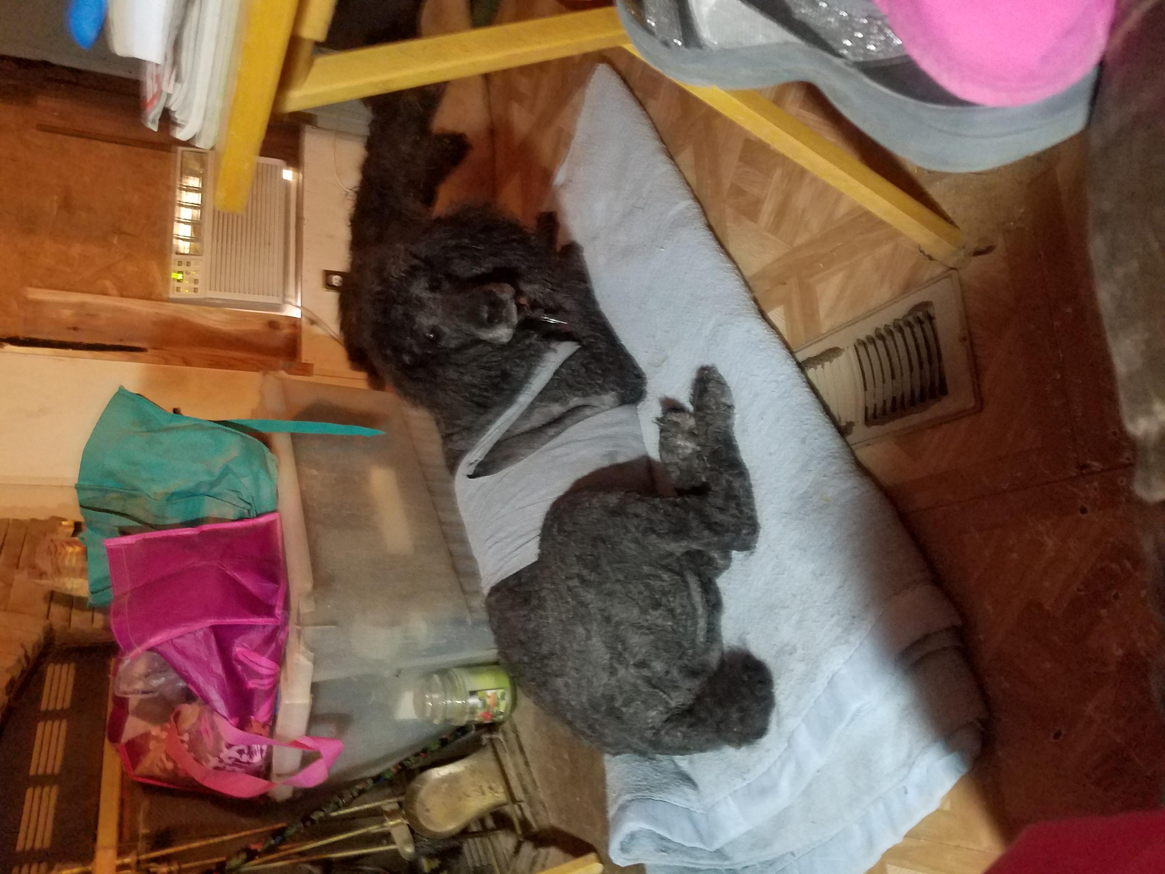 Question details sensitive content