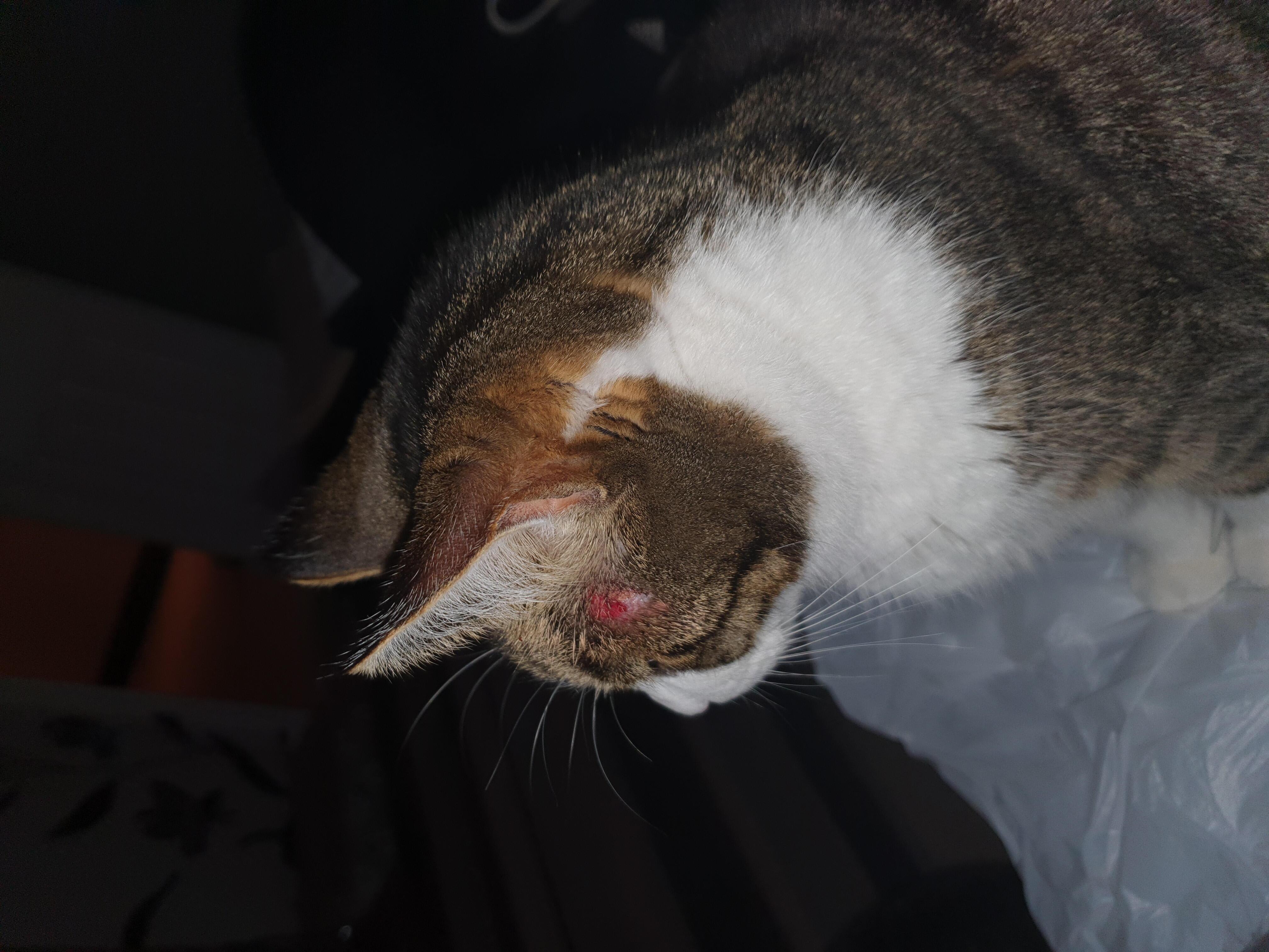 Question details sensitive content