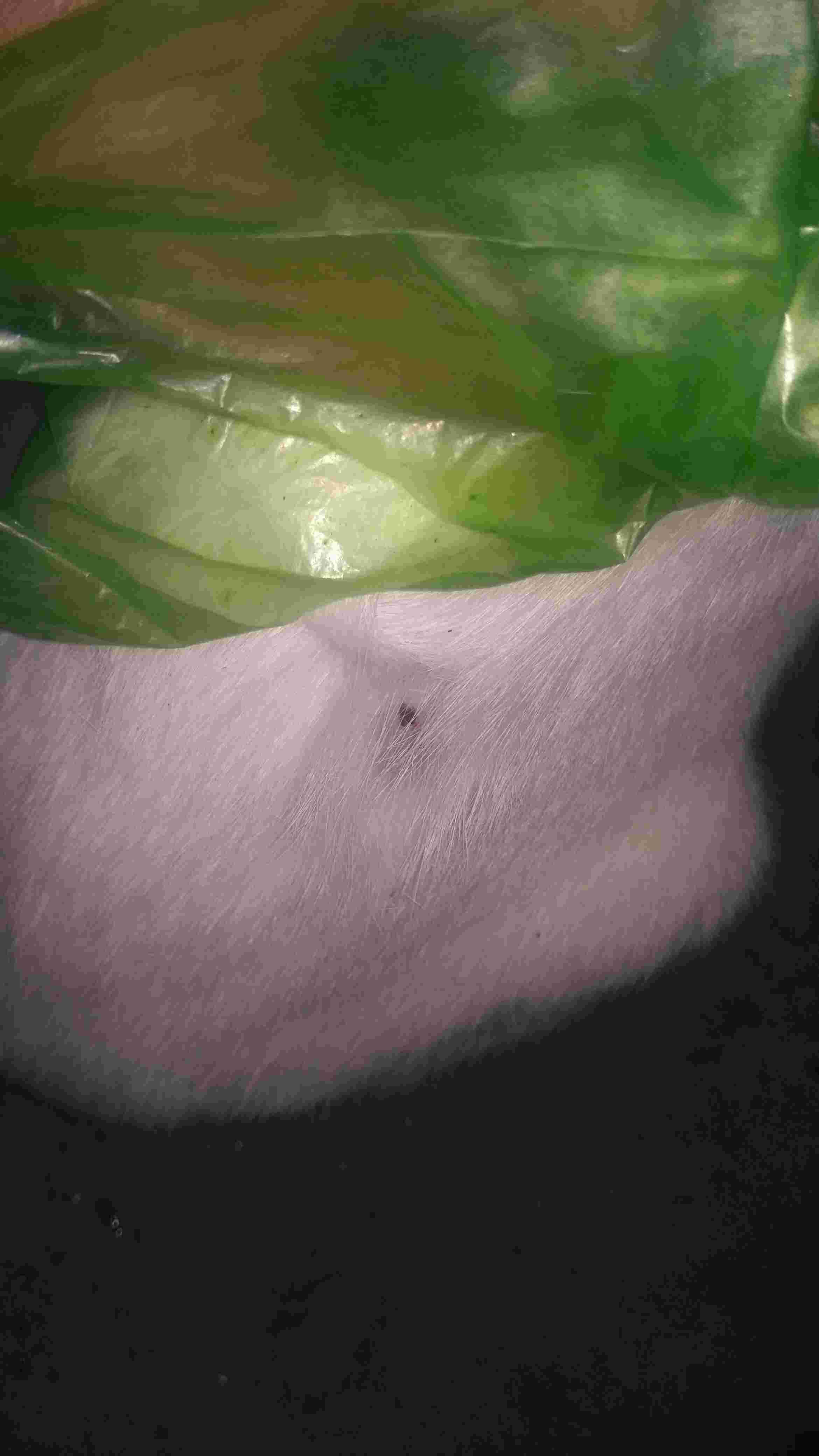 Question details sensitive content