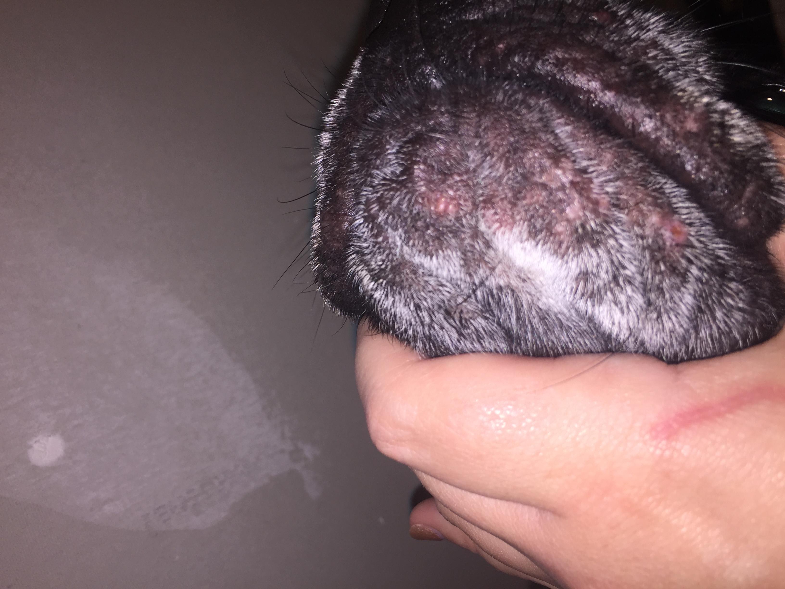 Question details sensitive content