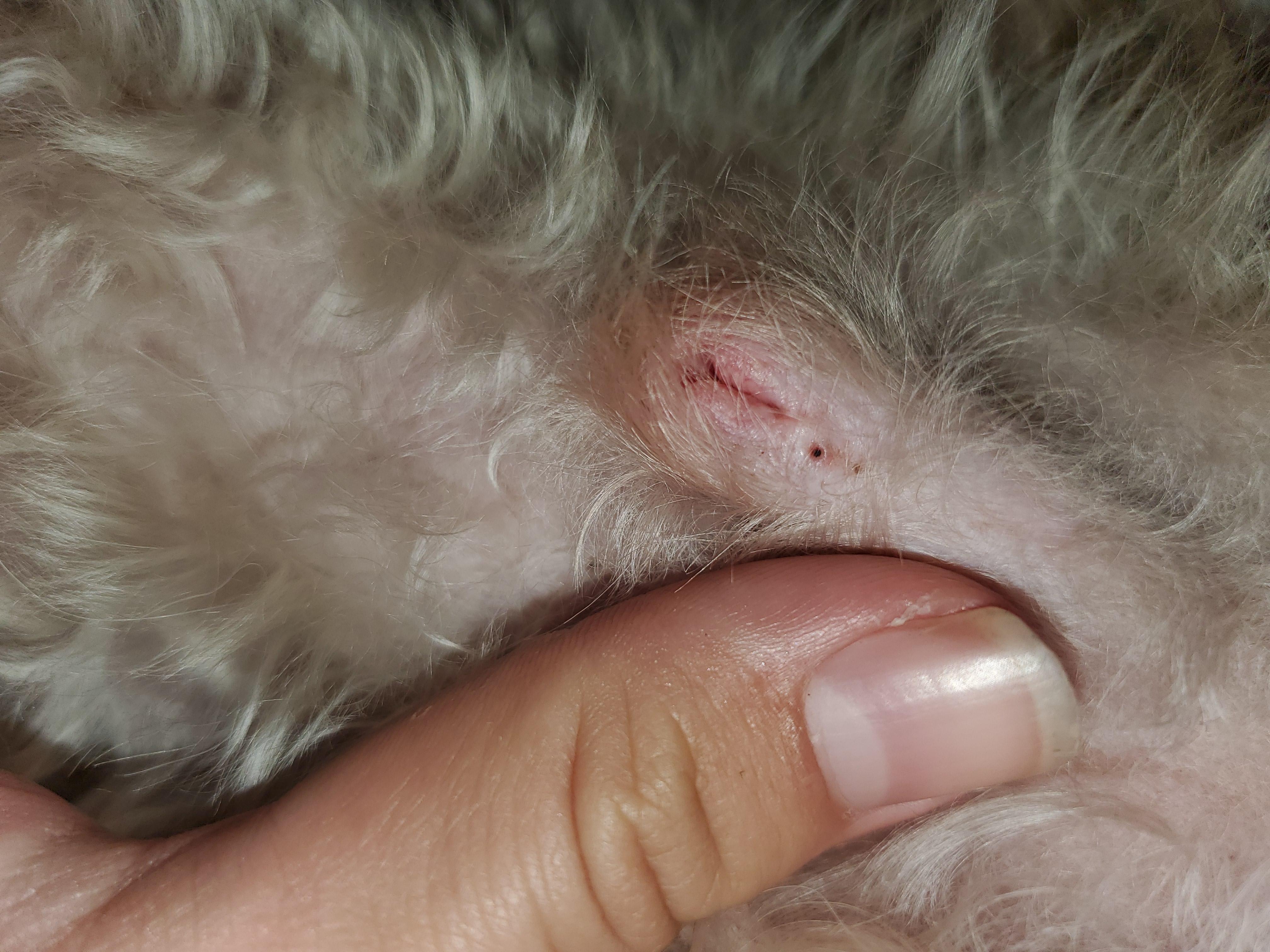 Question details sensitive content