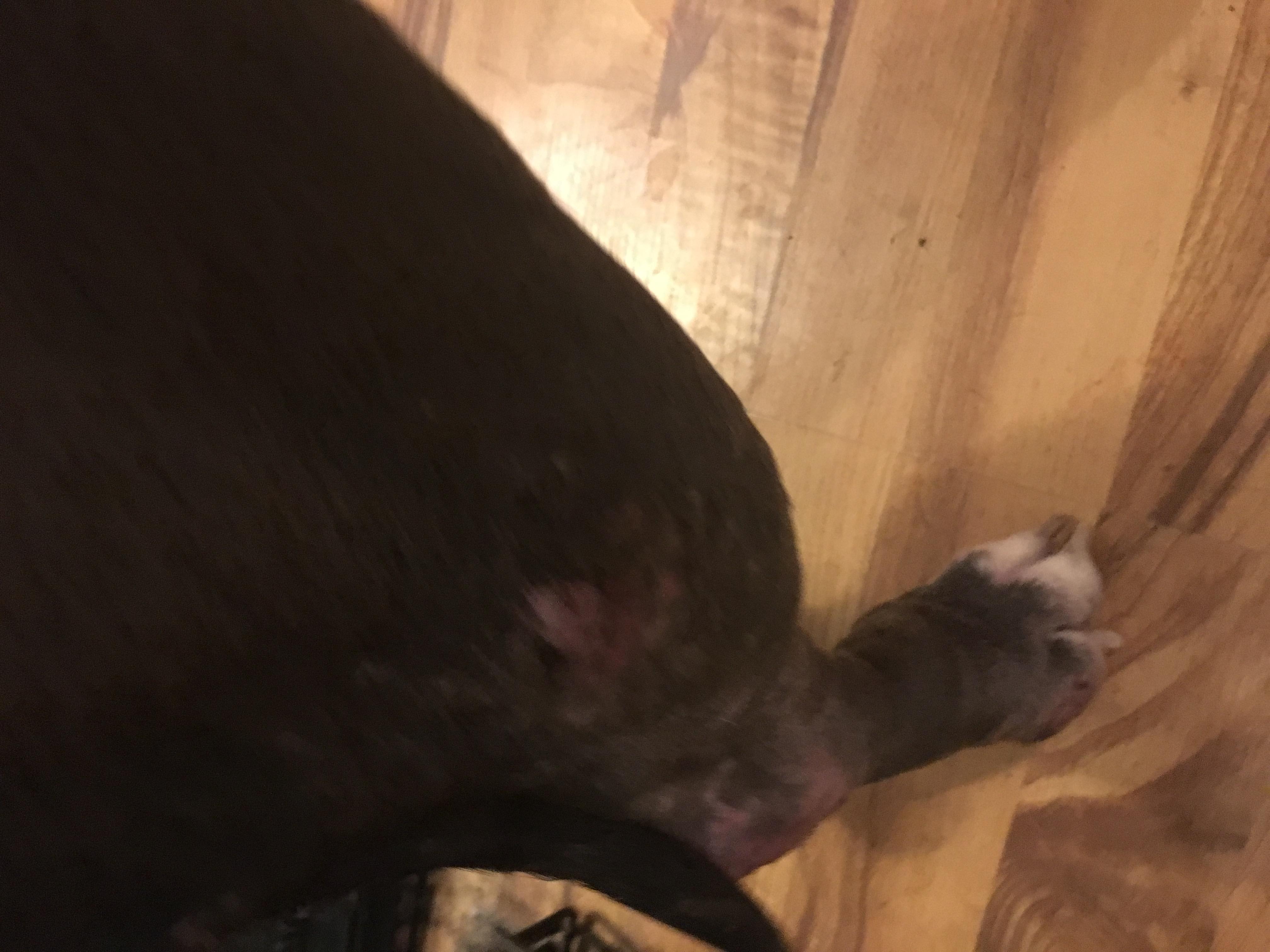 Question details sensitive content