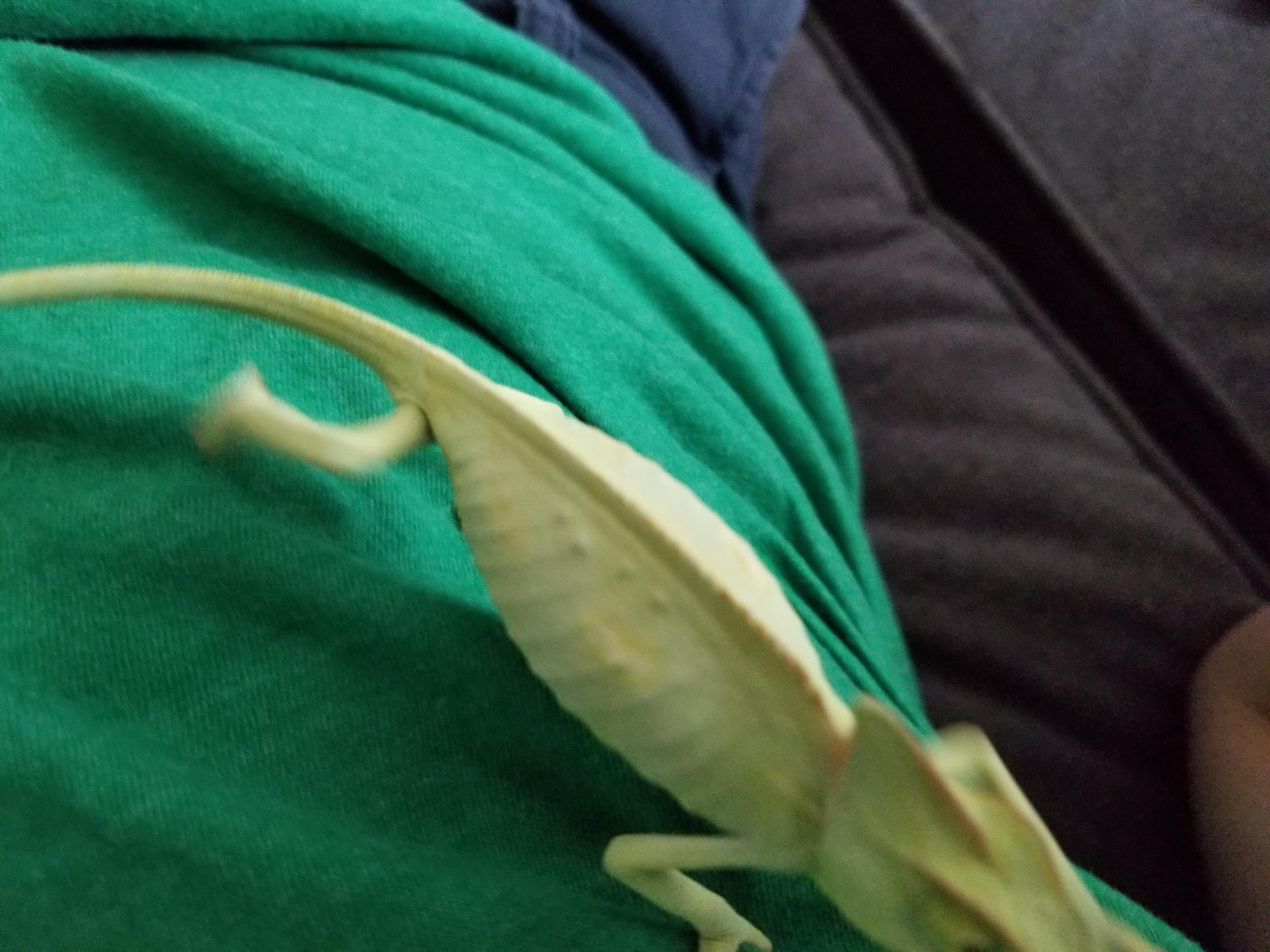 Question details sensitive content