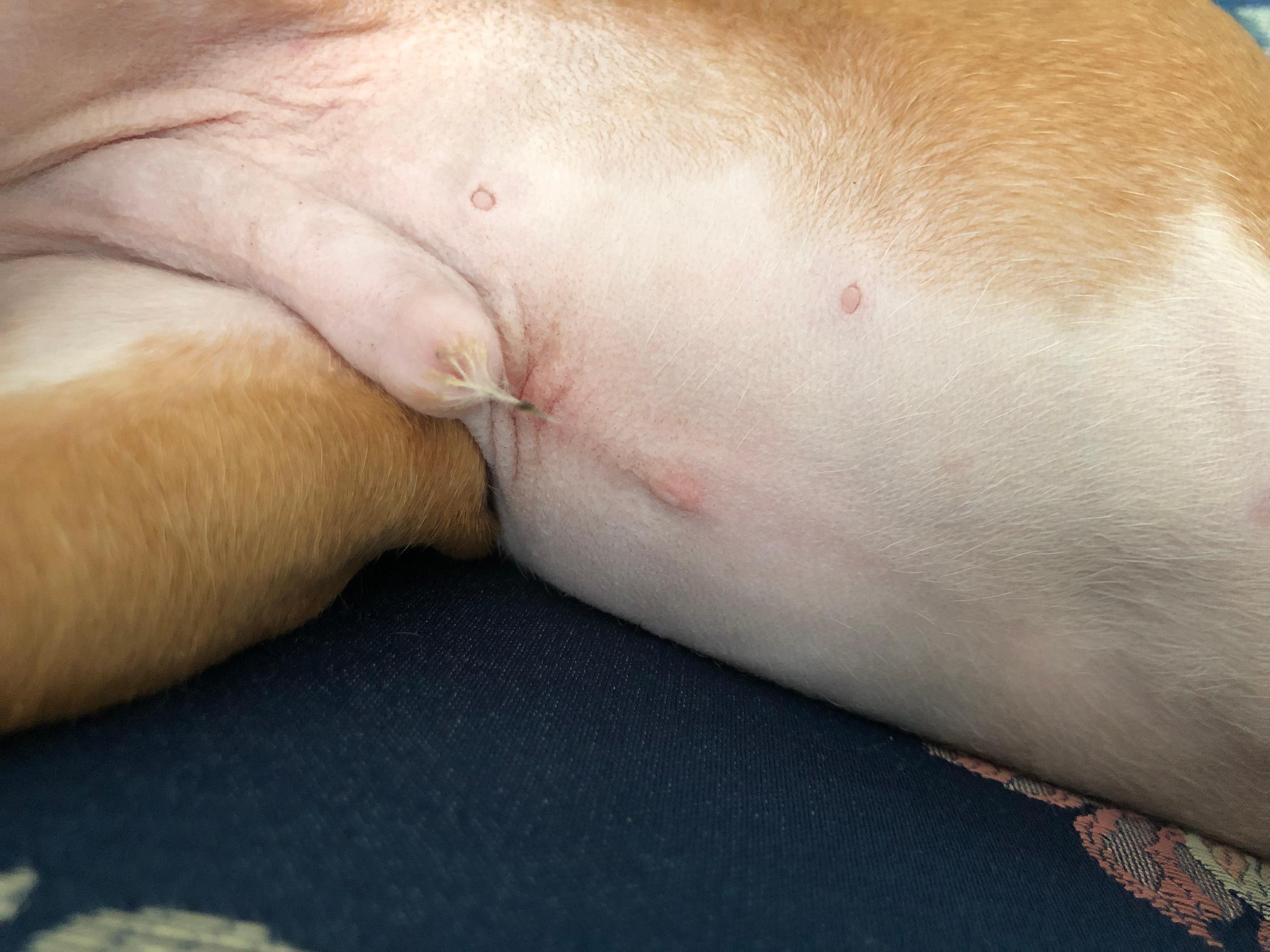 Question details sensitive content