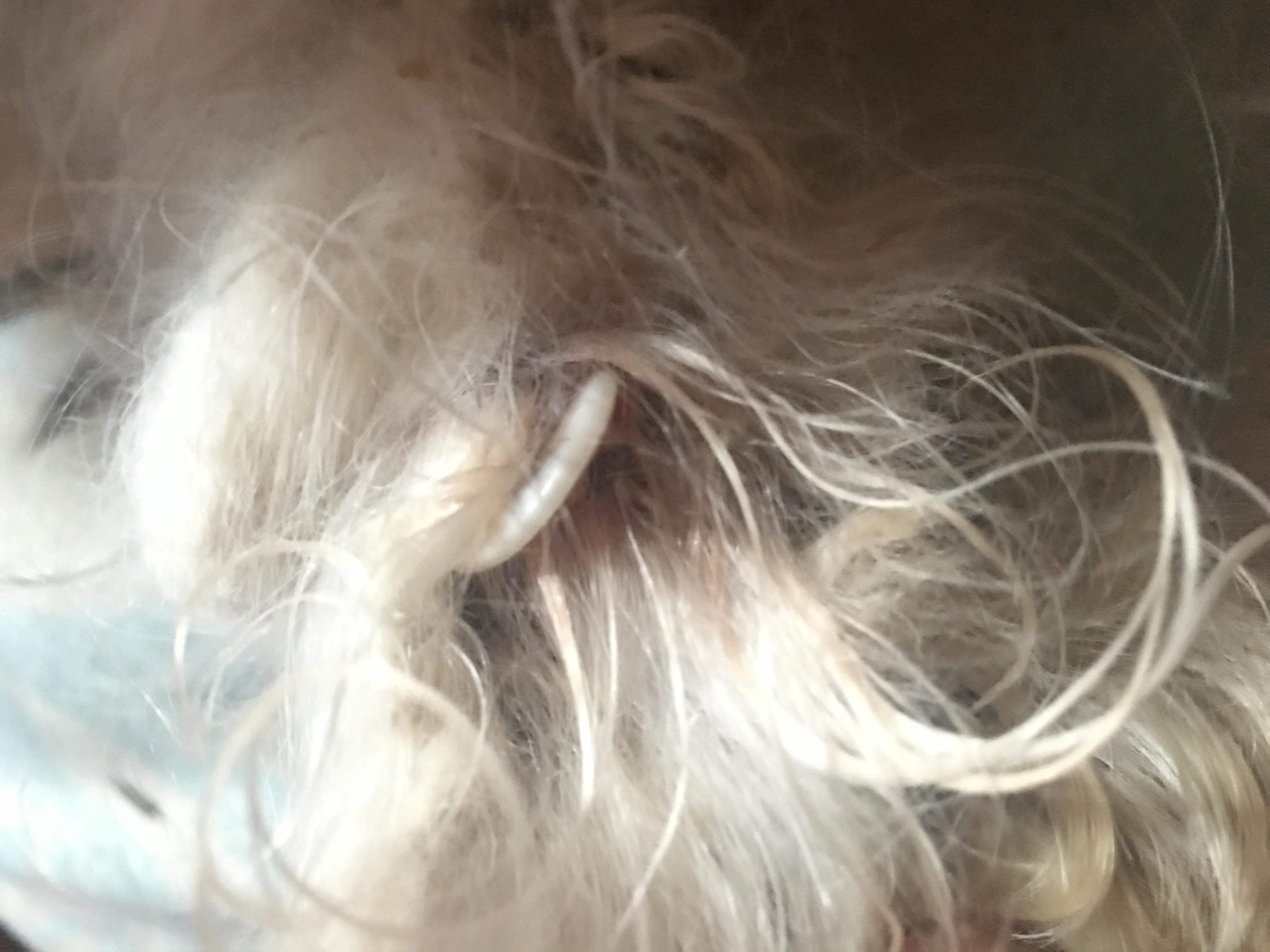 Question details sensitive content