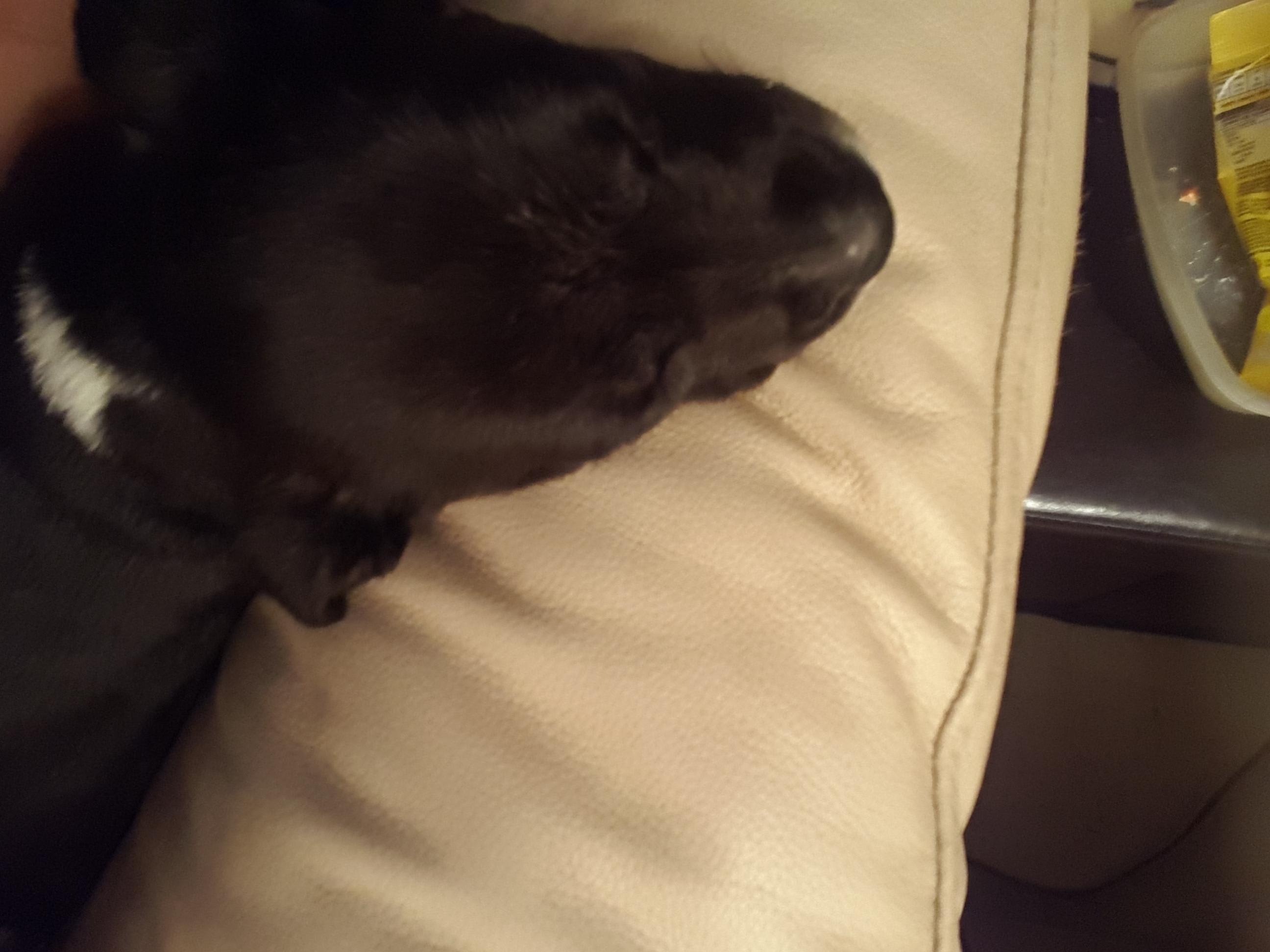 Question details sensitive content