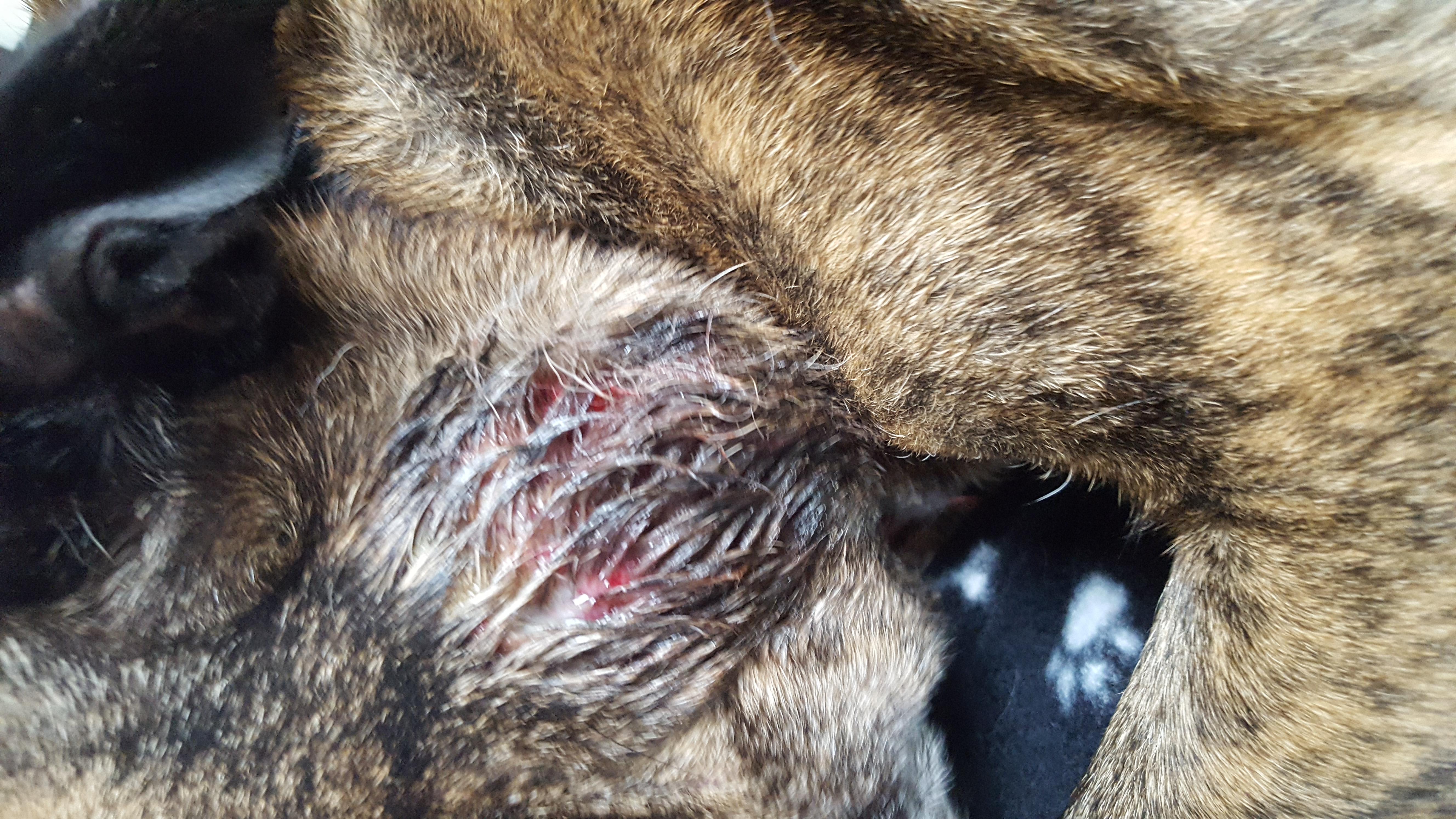 Question details sensitive content