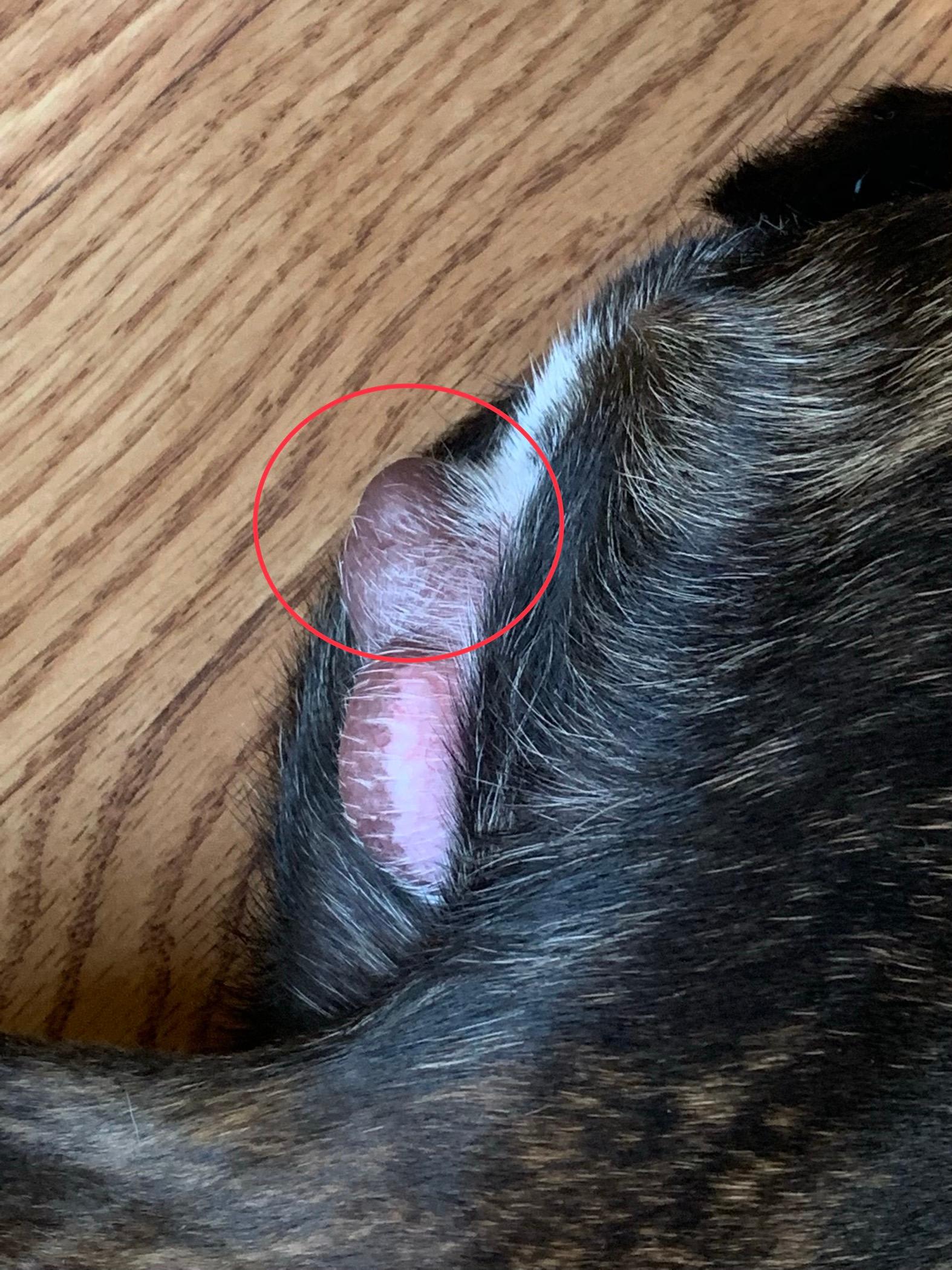 Question details sensitive content