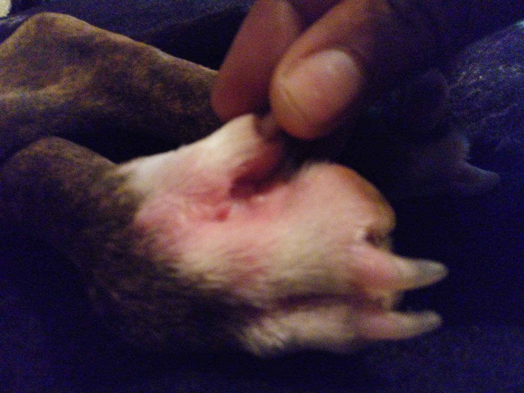 Question details sensitive content