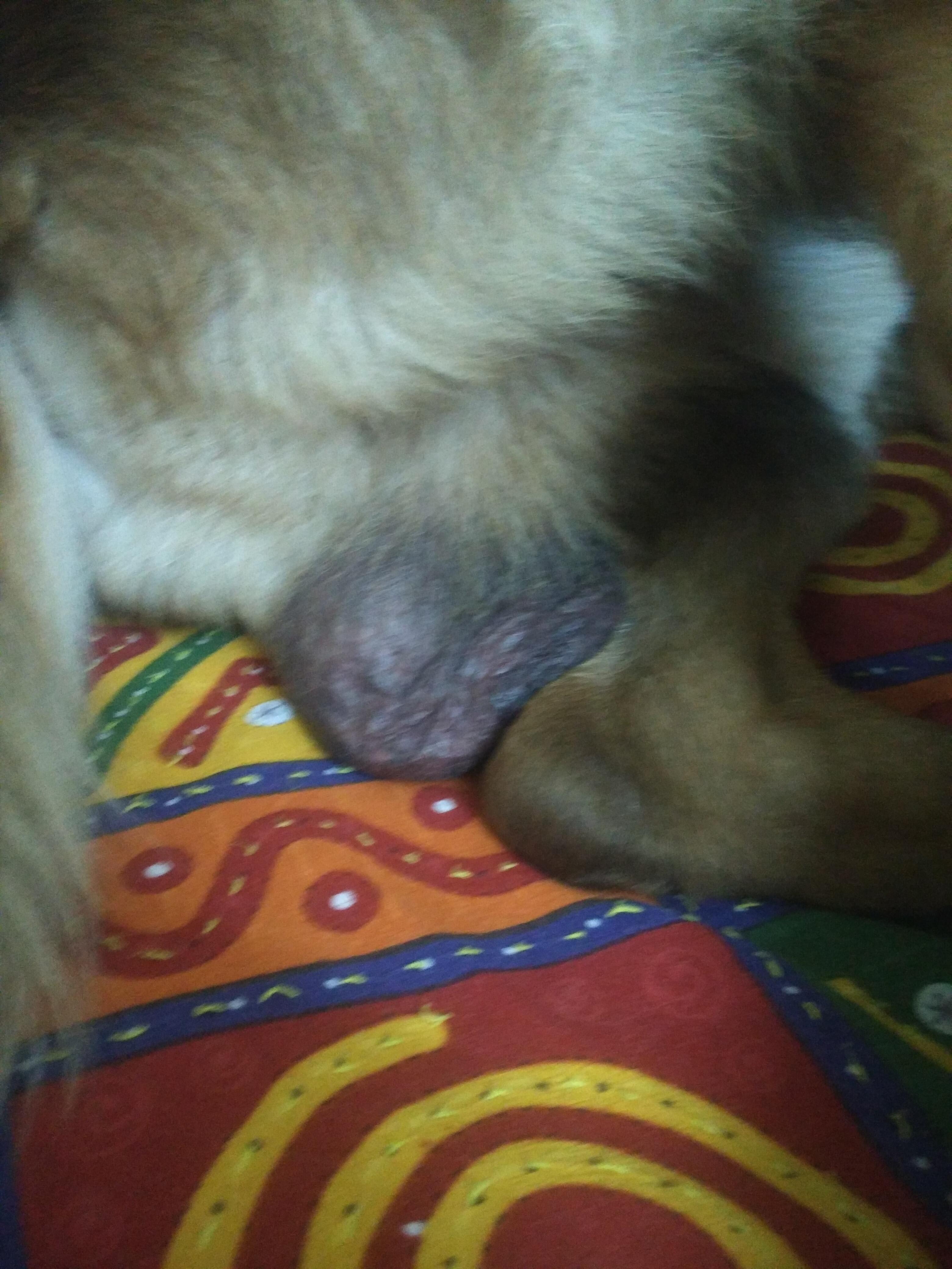 Question details sensitive content