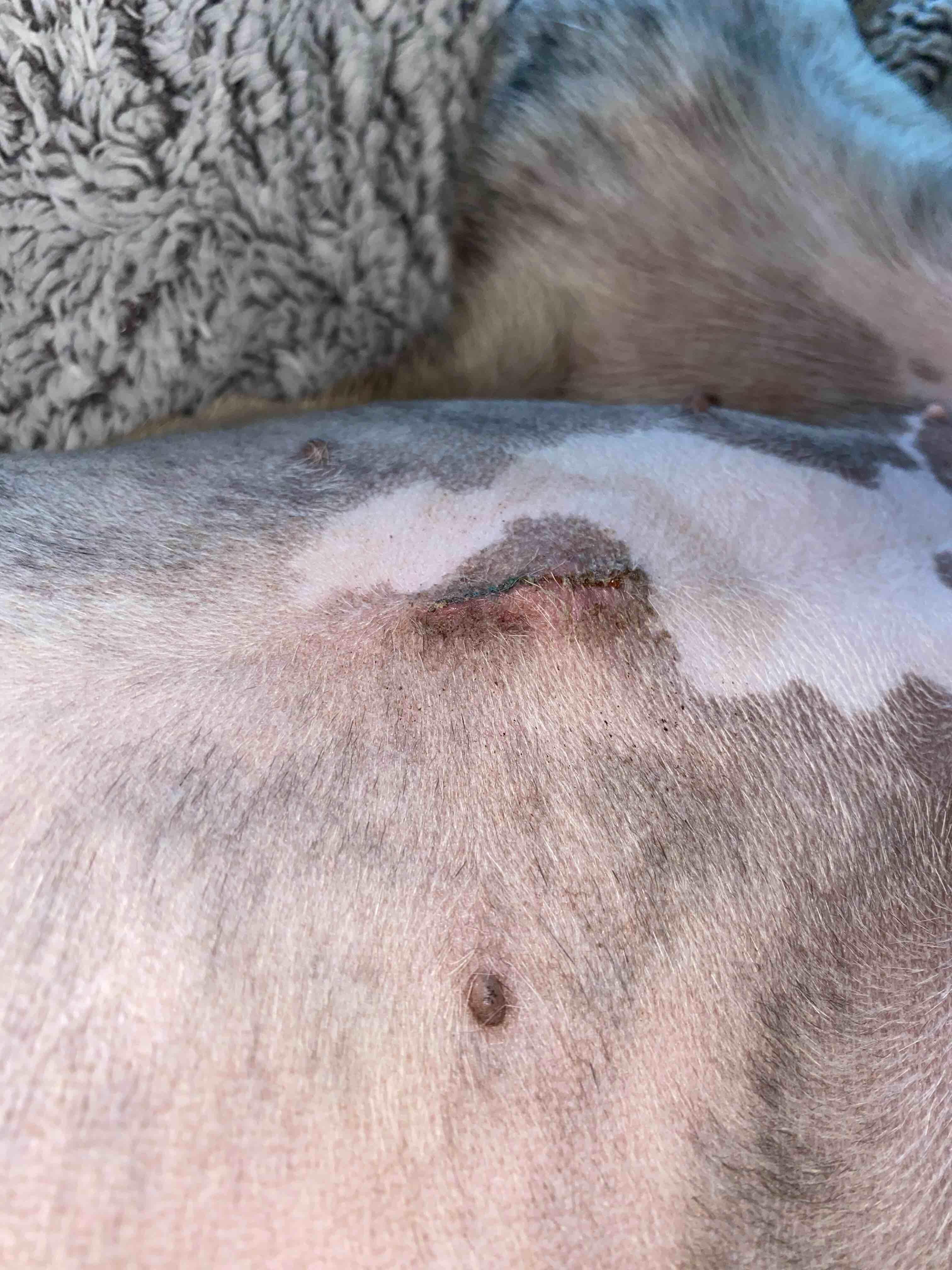 Question details sensitive content