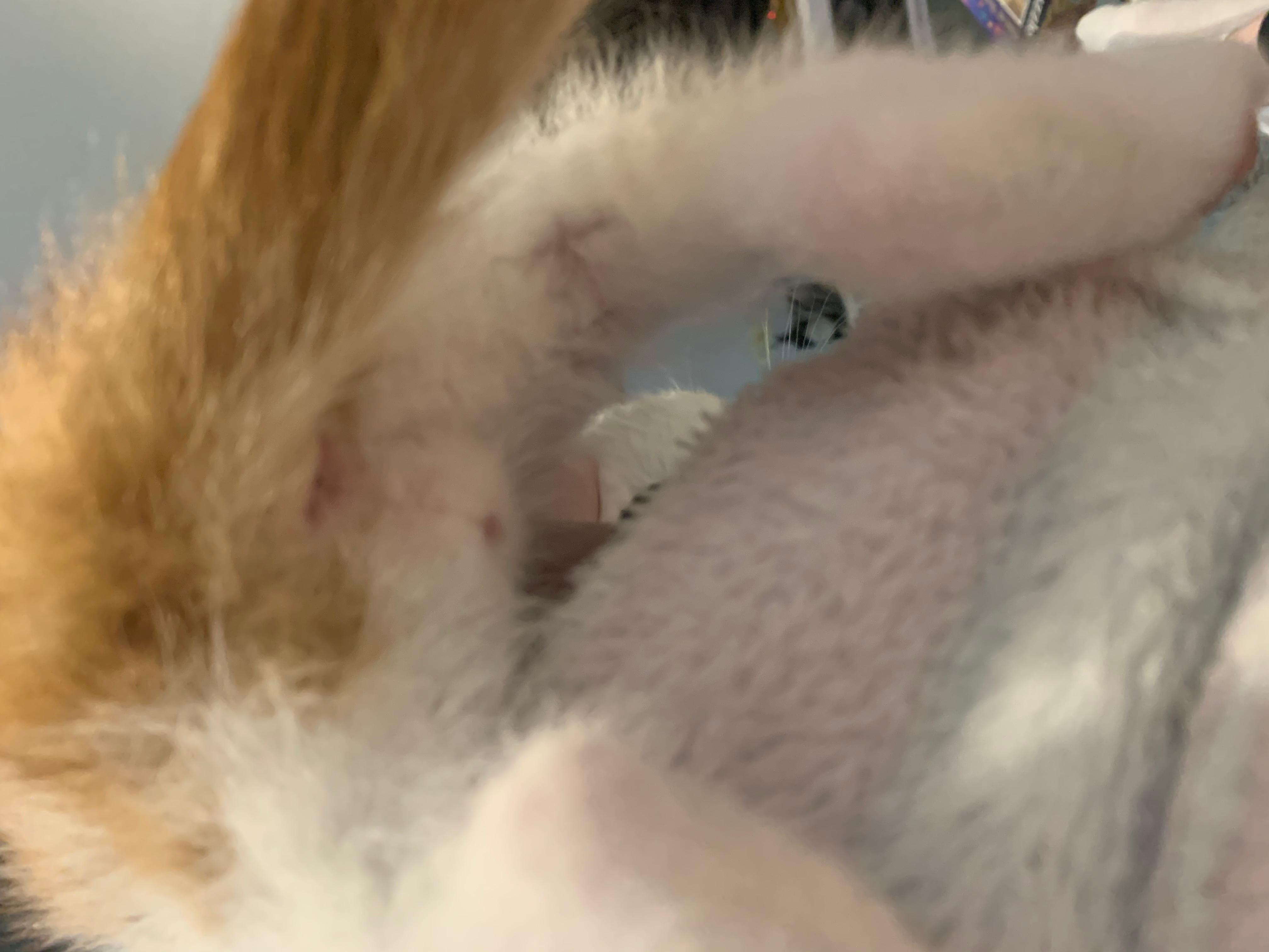 Question details sensitive content