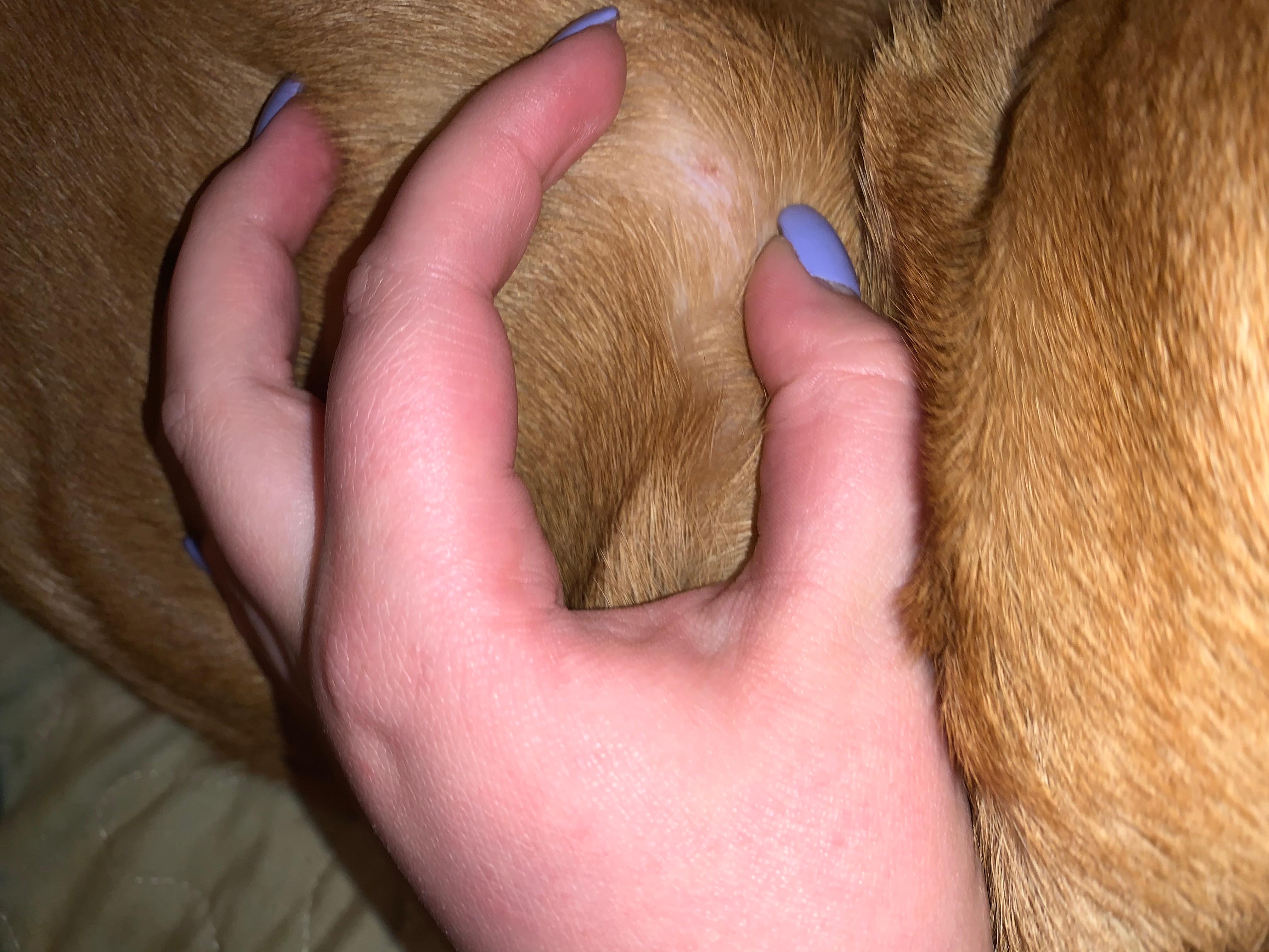 Question details sensitive content