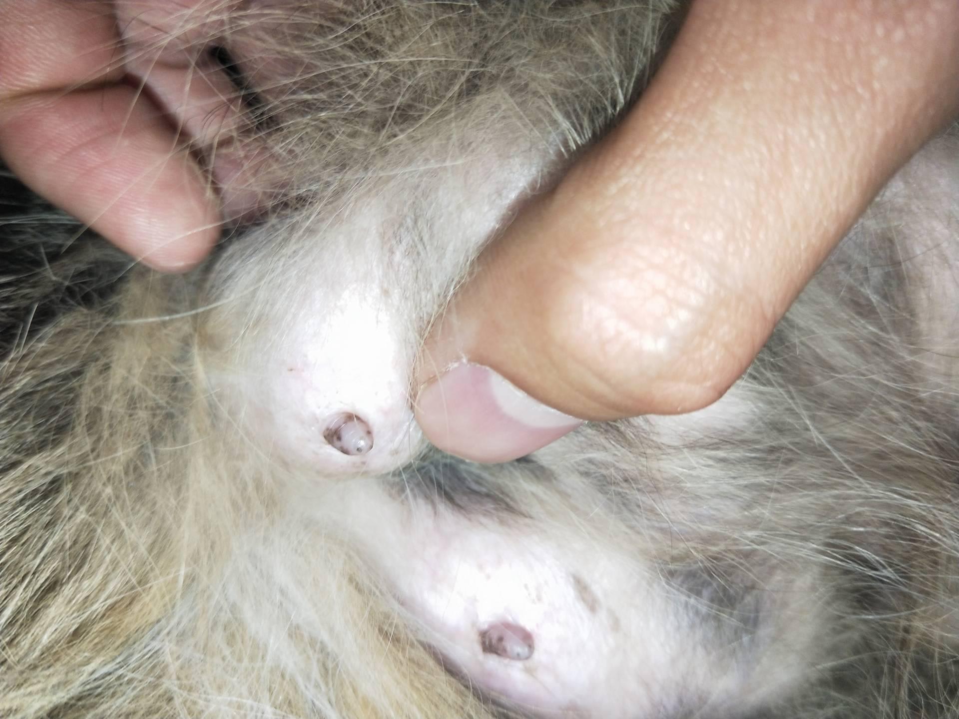 Question details sensitive content