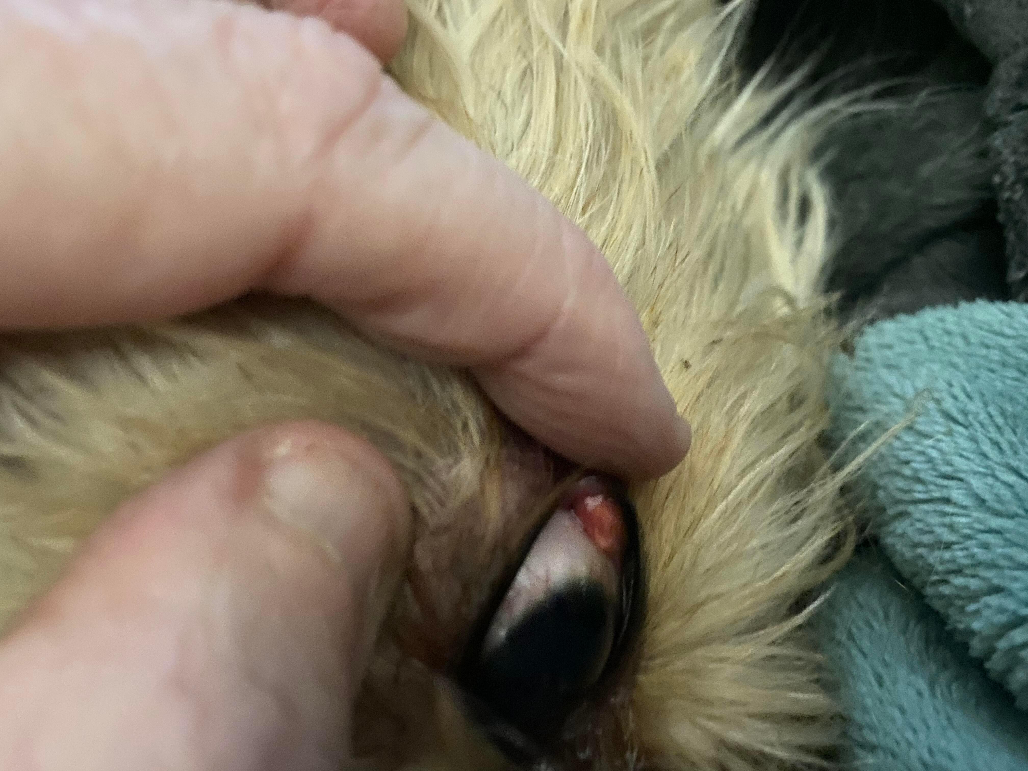 Question details sensitive content