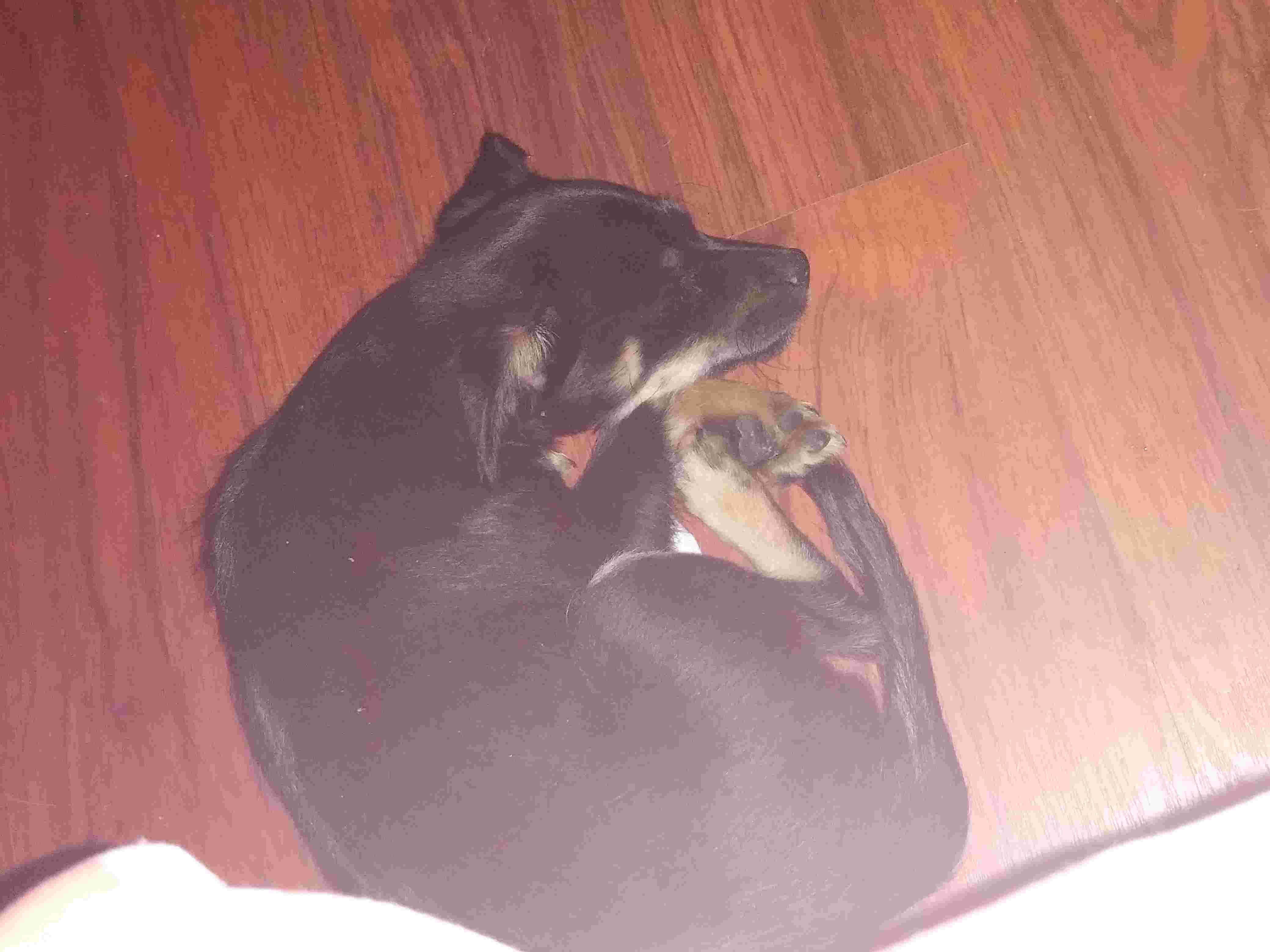 Question details sensitive content