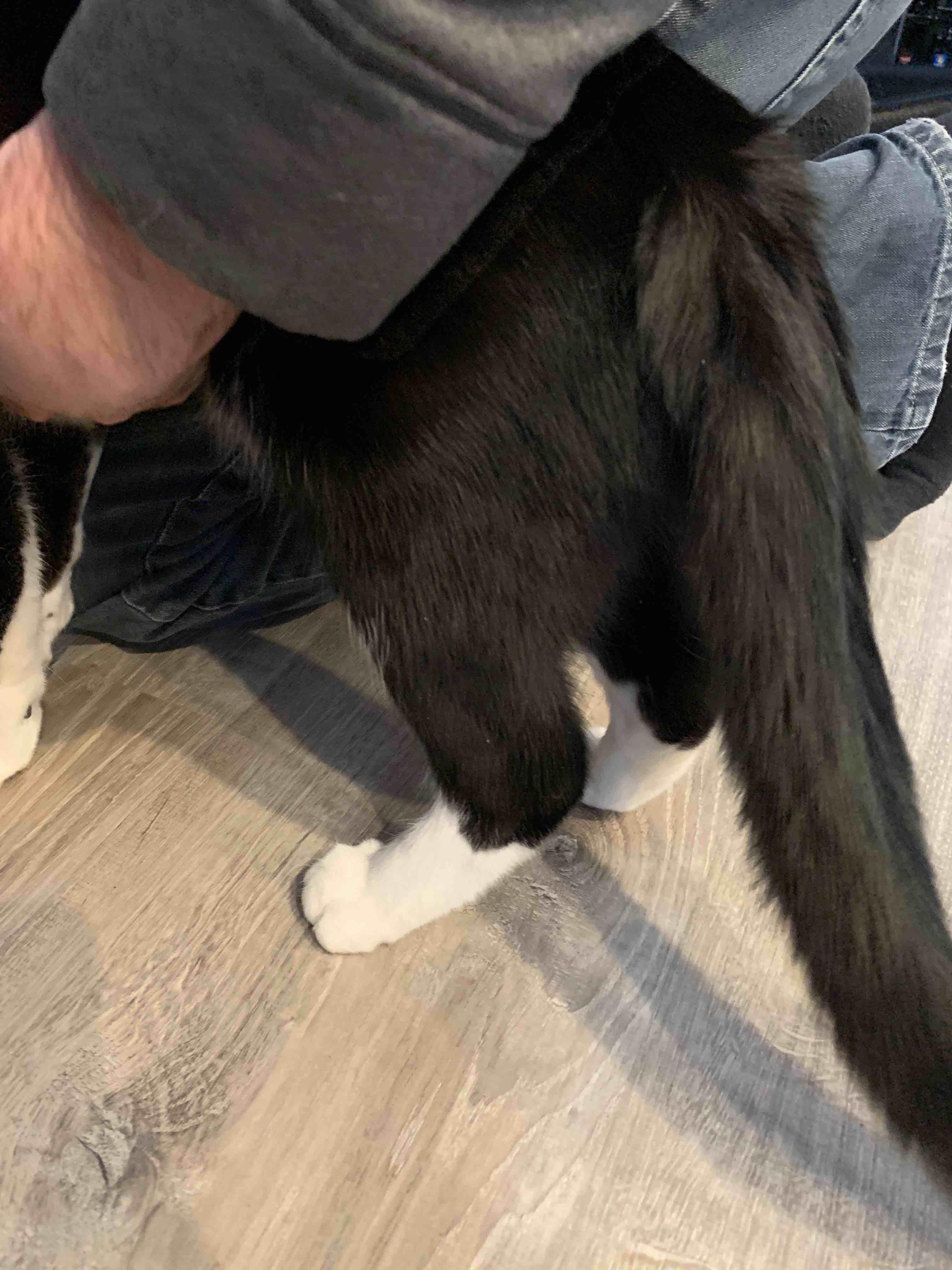 Question details sensitive content