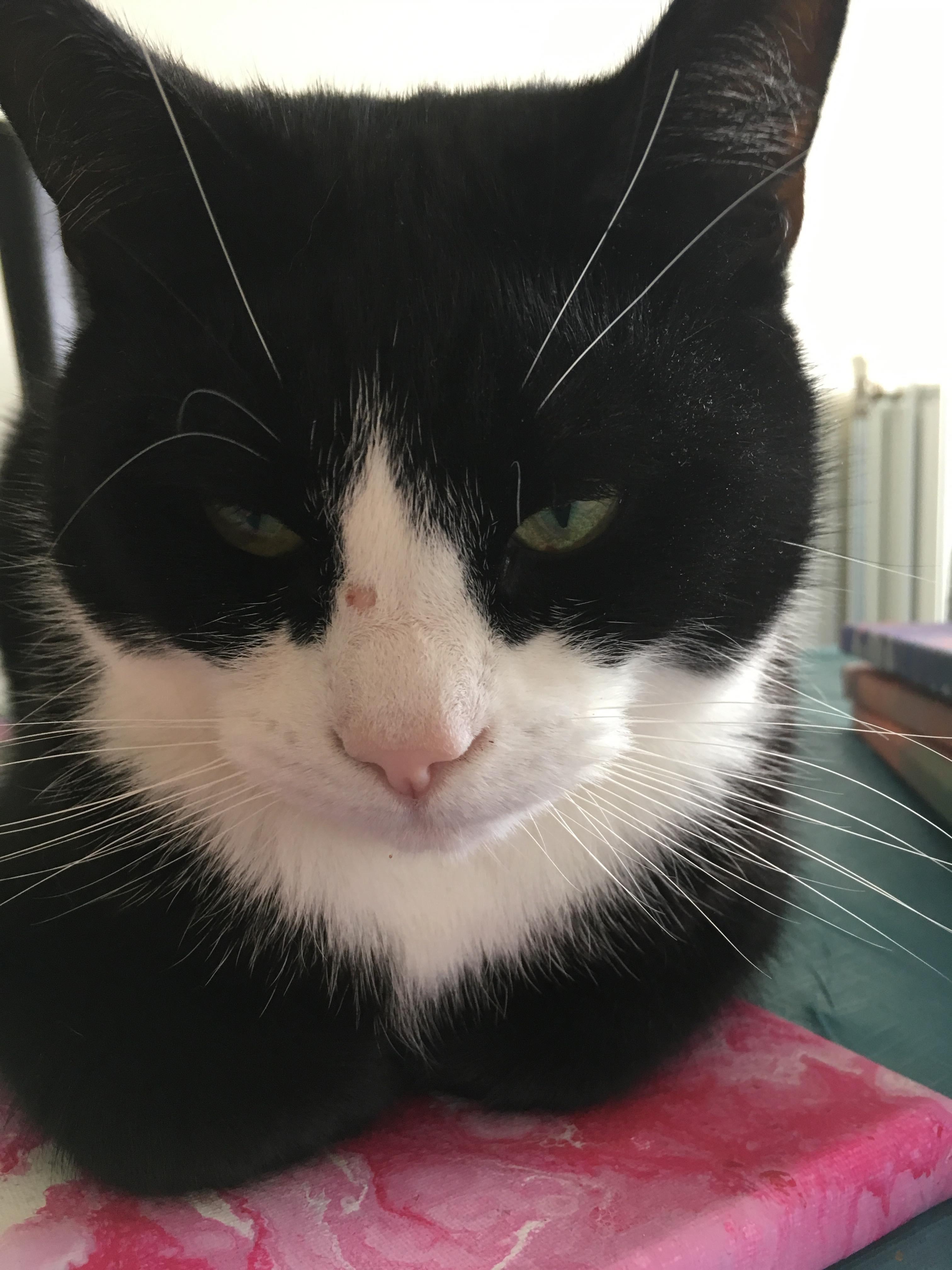 Question details sensitive content