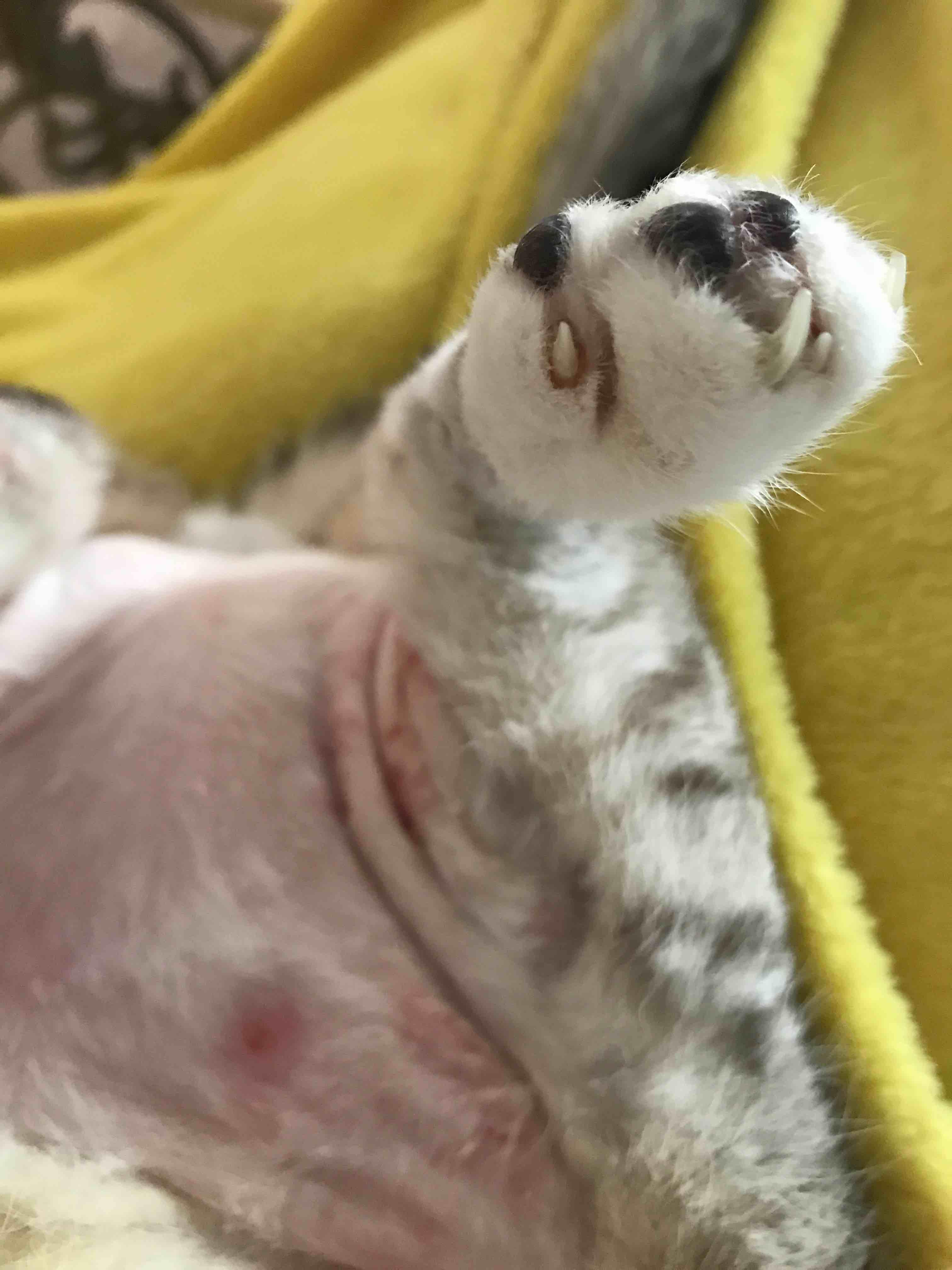 Question details sensitive content