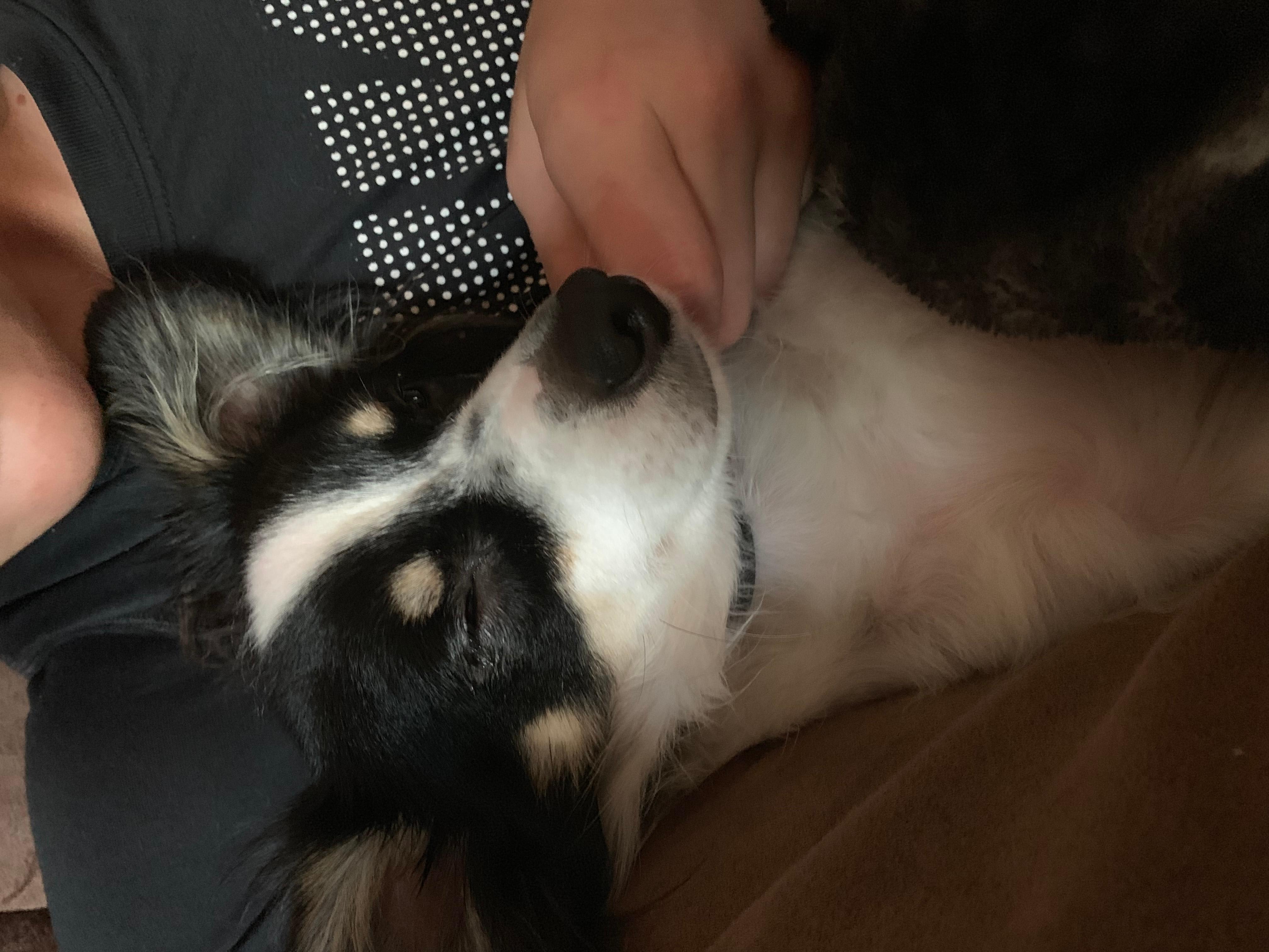 Question details sensitive content