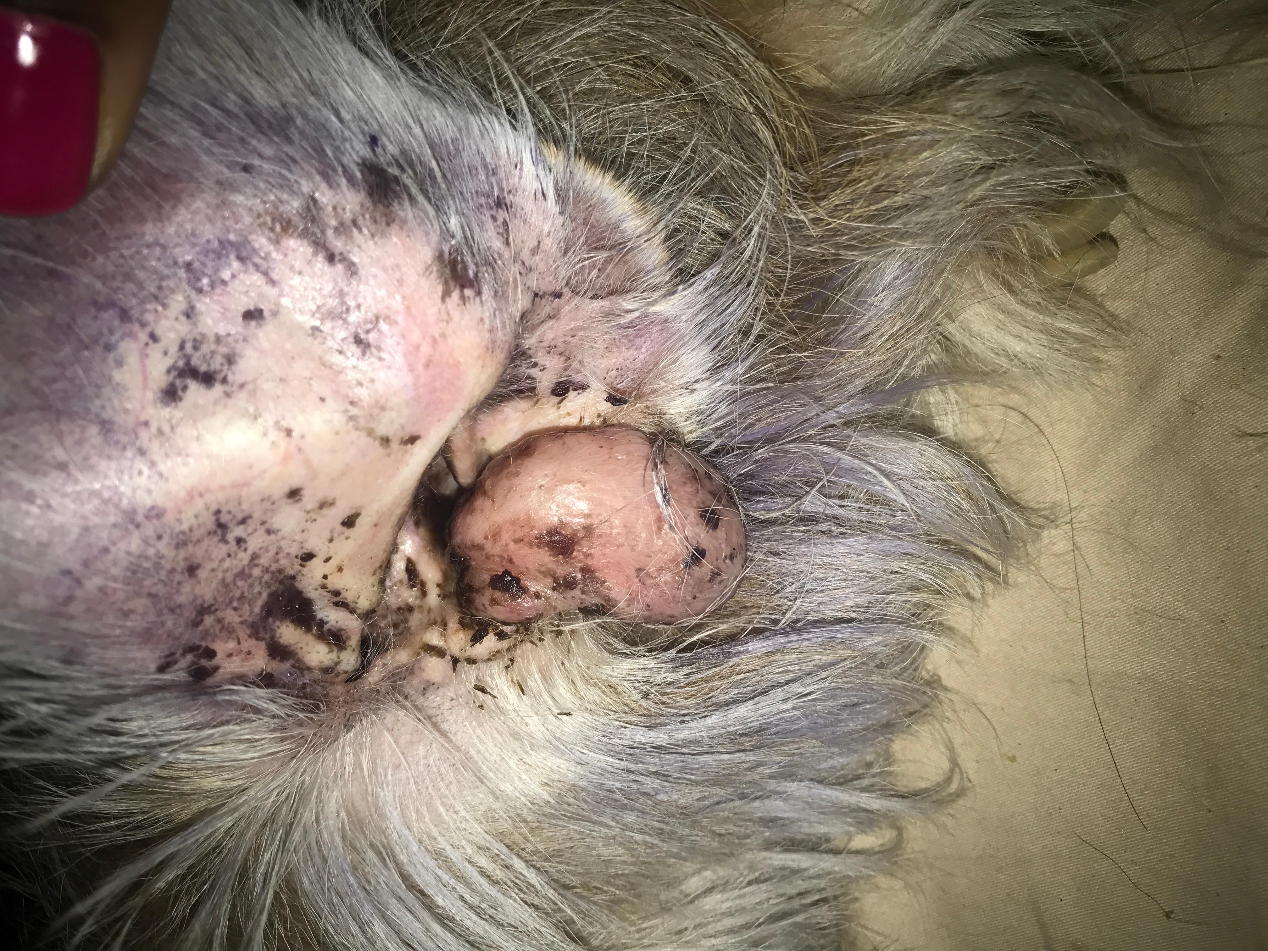 Question details sensitive content