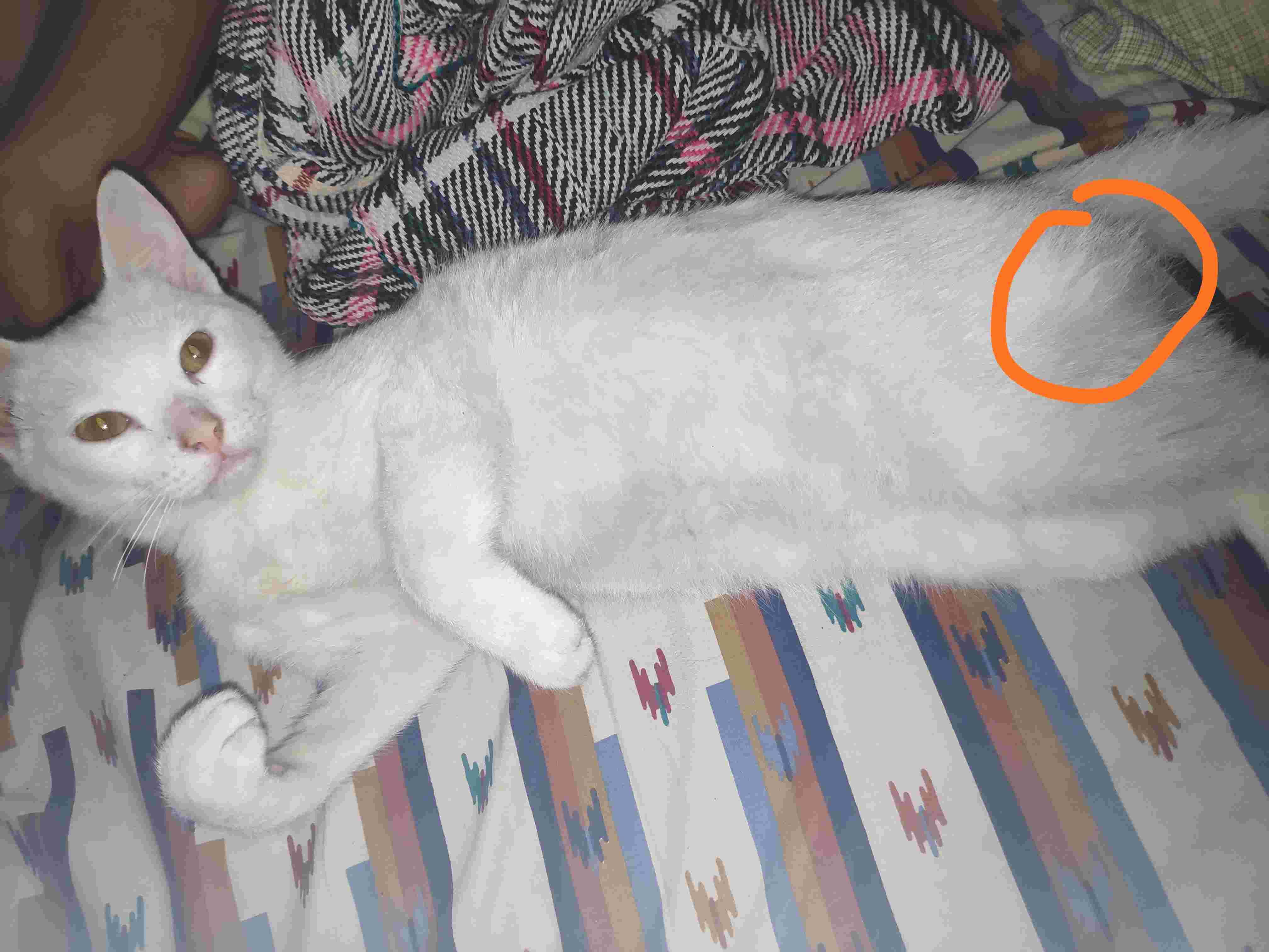 Question details sensitive content