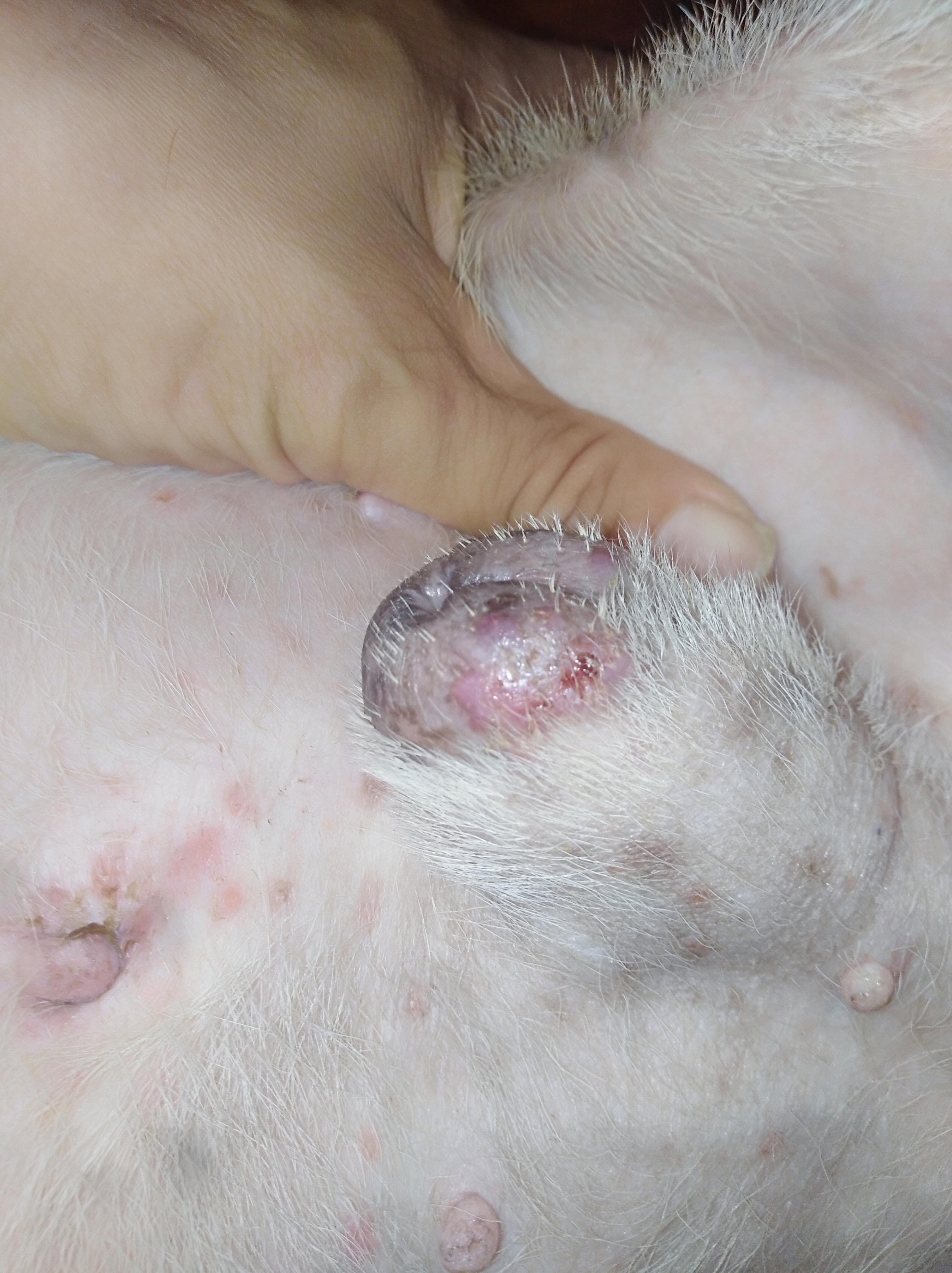 Question details sensitive content