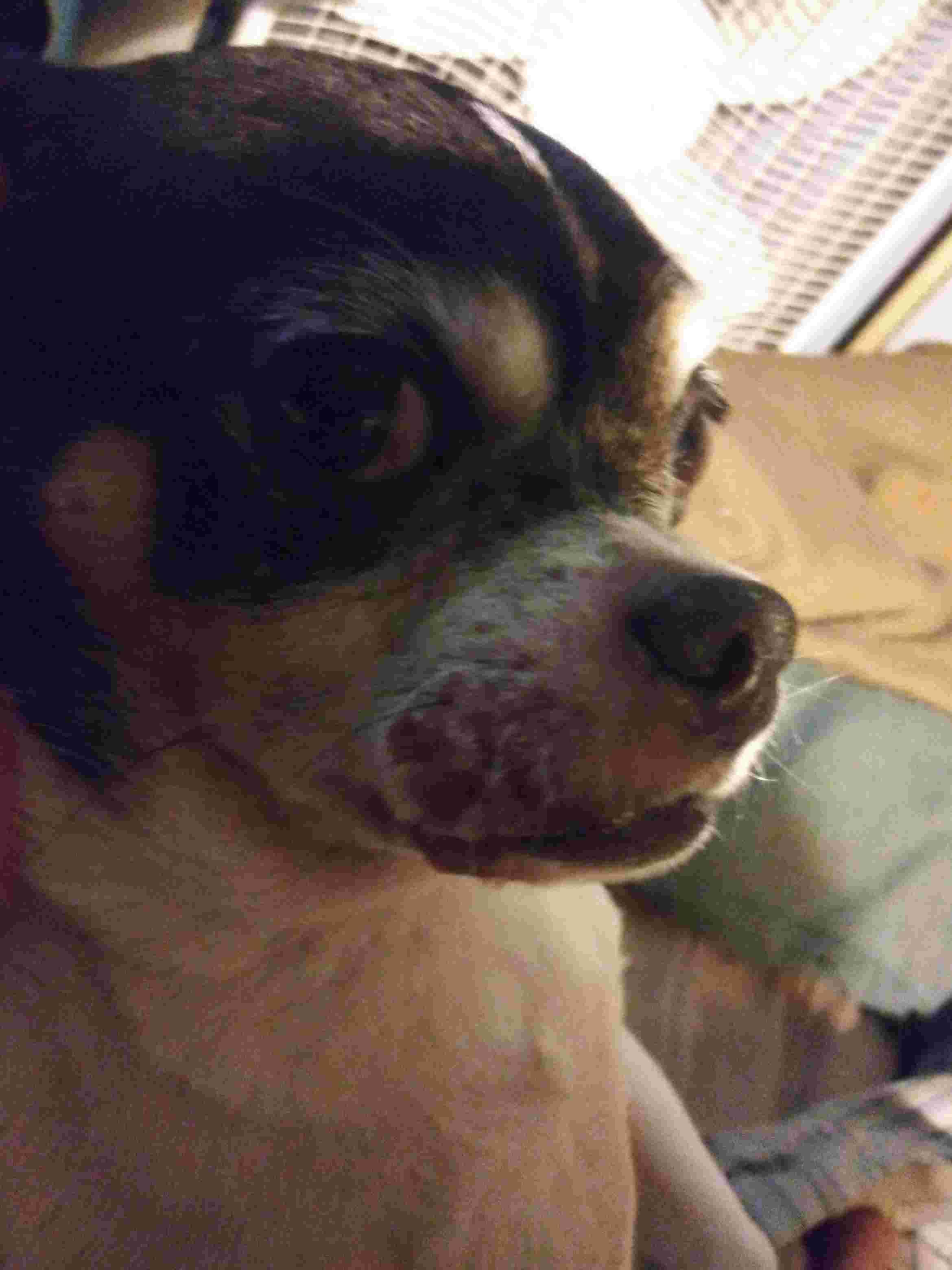 Question details sensitive content