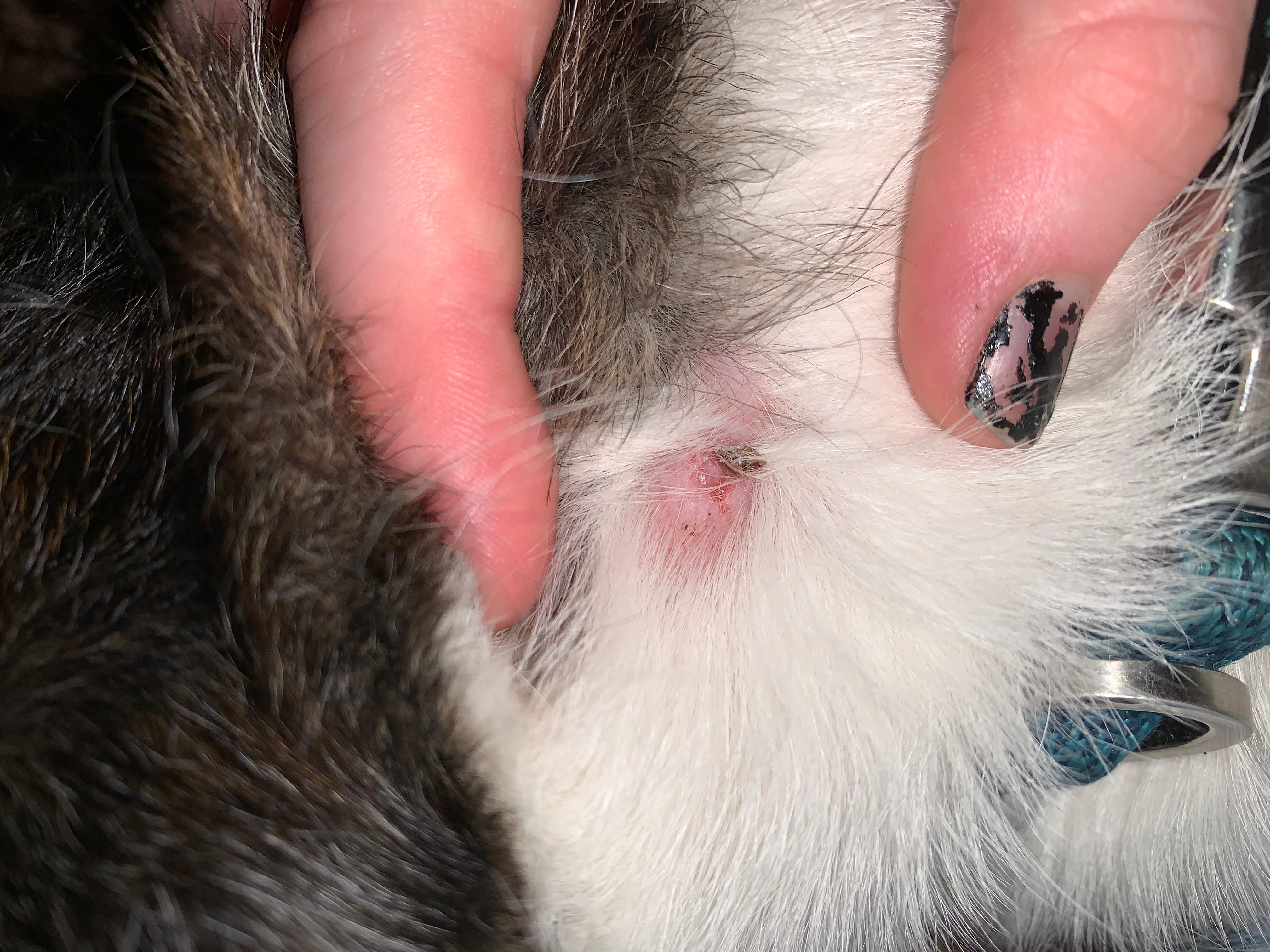 Question details sensitive content