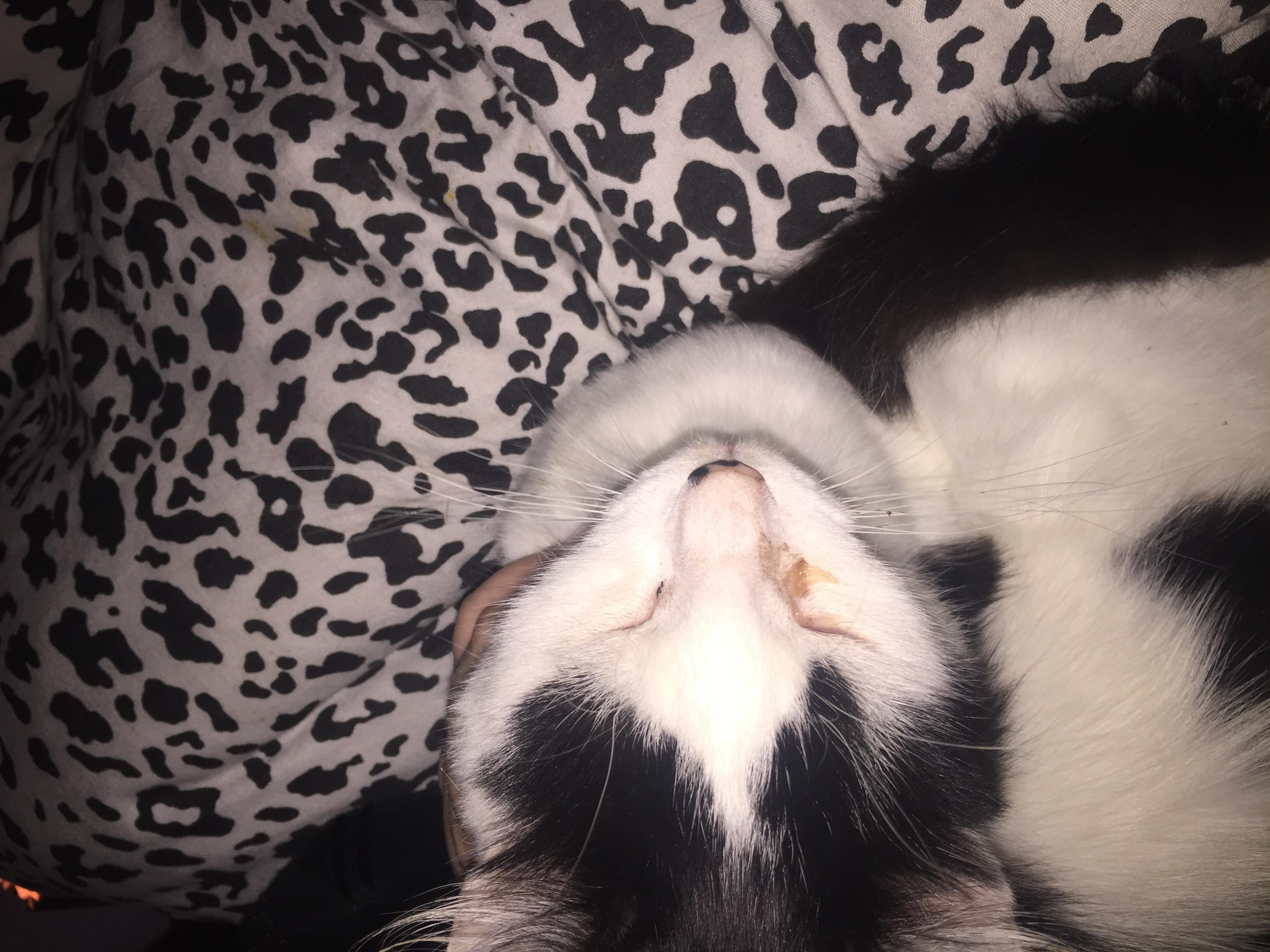 Question details sensitive content