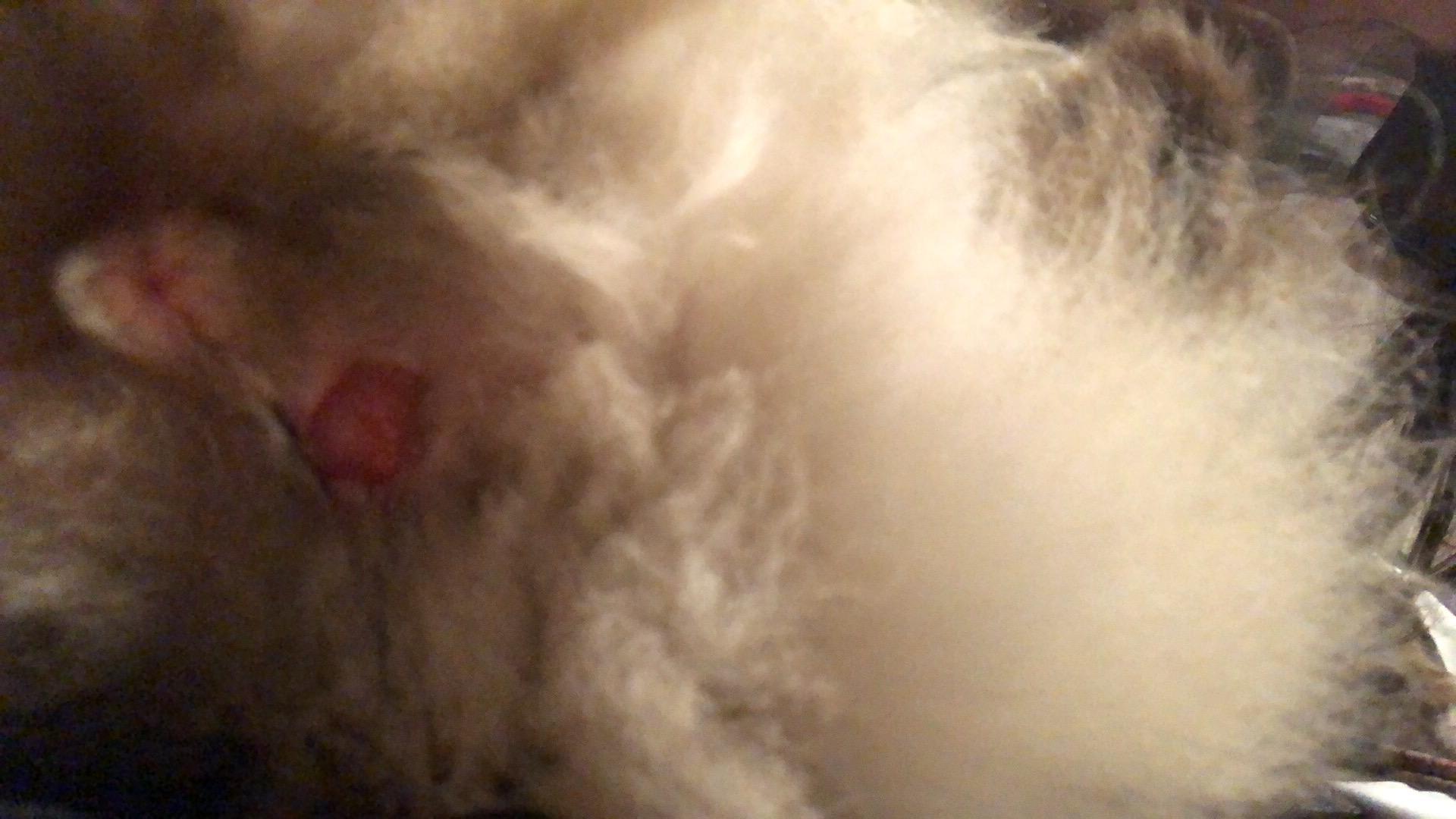 Question details sensitive content