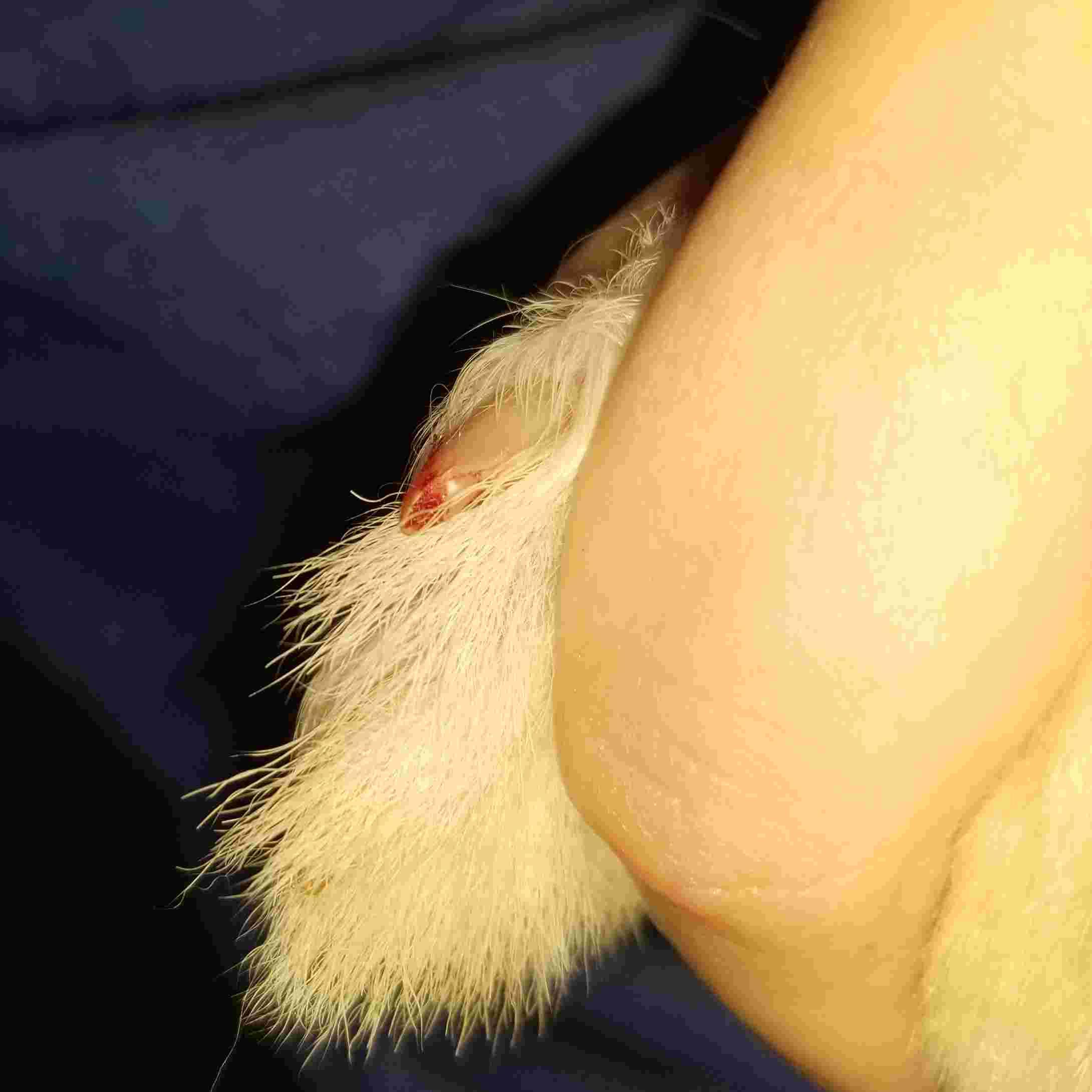 Question details sensitive content