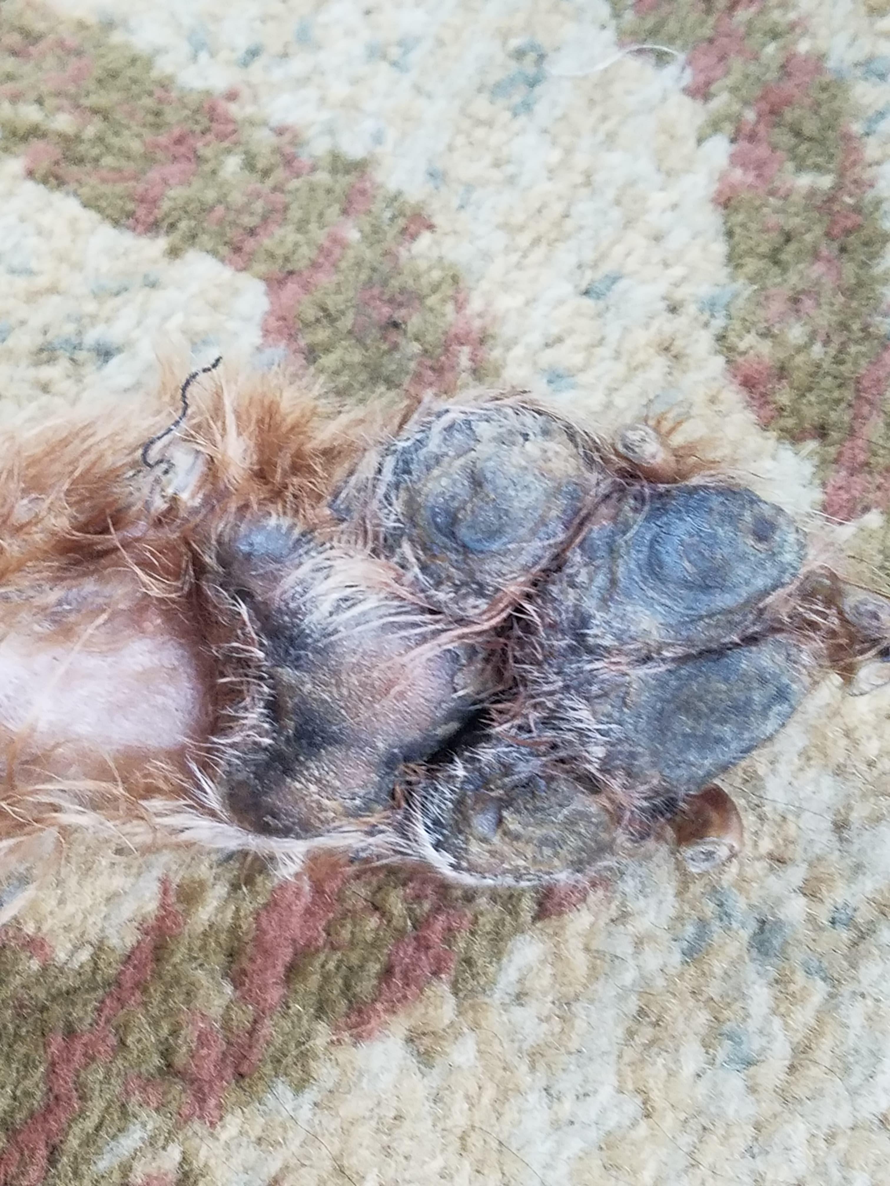 Question details sensitive content