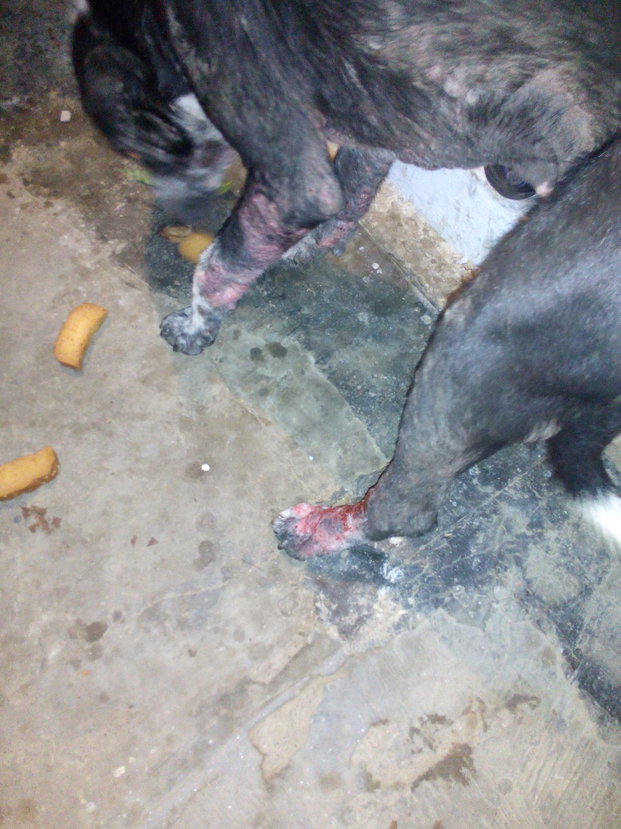 Question details sensitive content