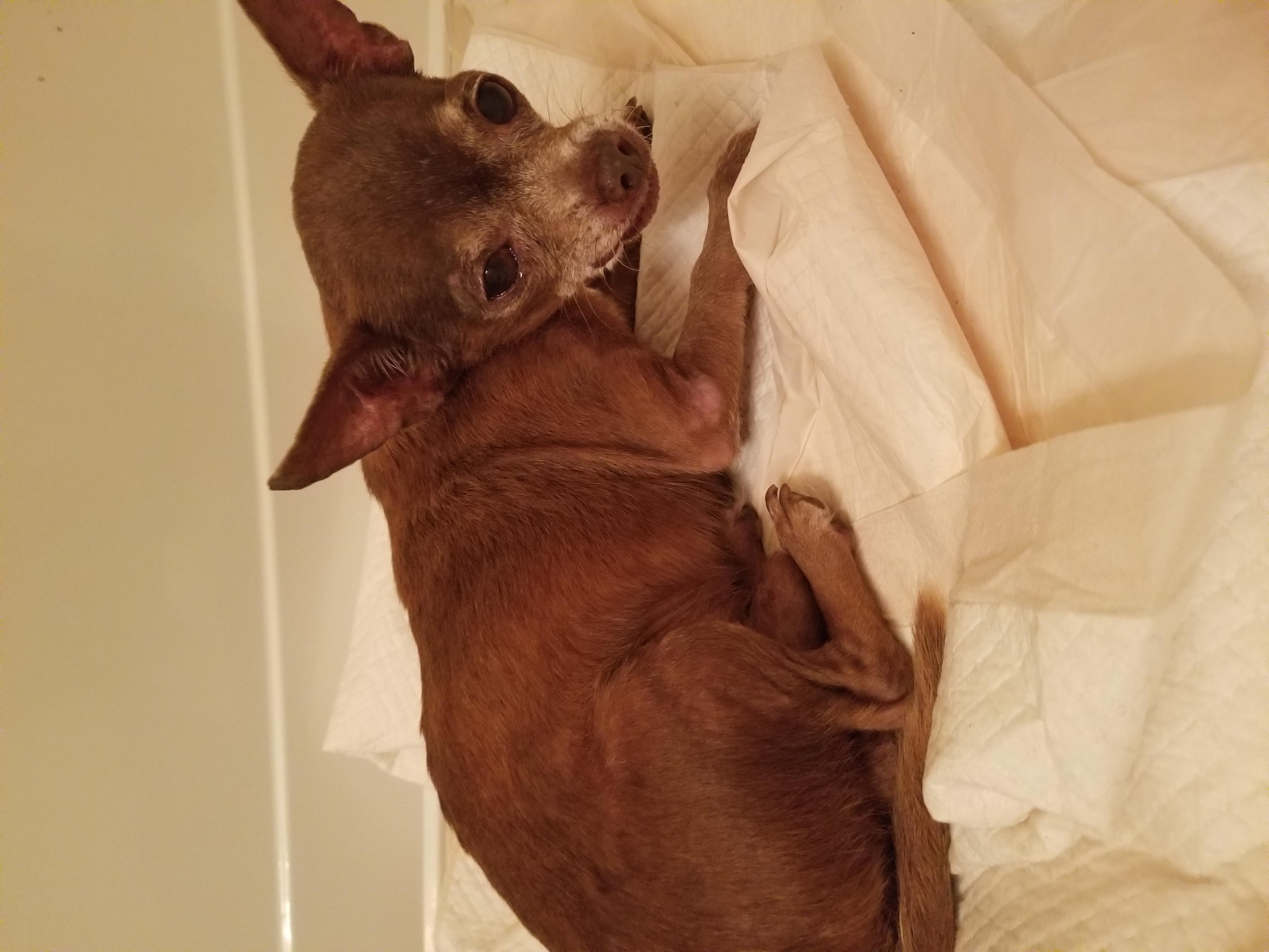 Question details sensitive content